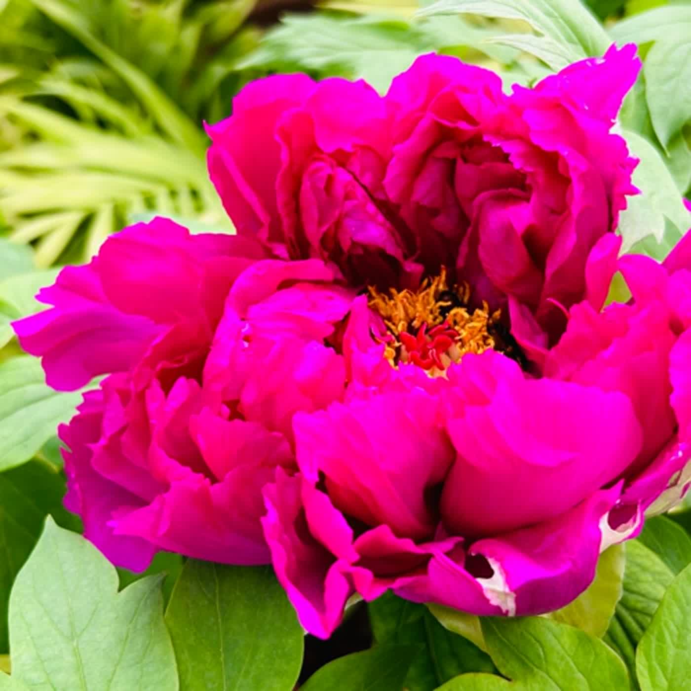 慧馨牧師與你一起讀經：詩篇119:9-16華