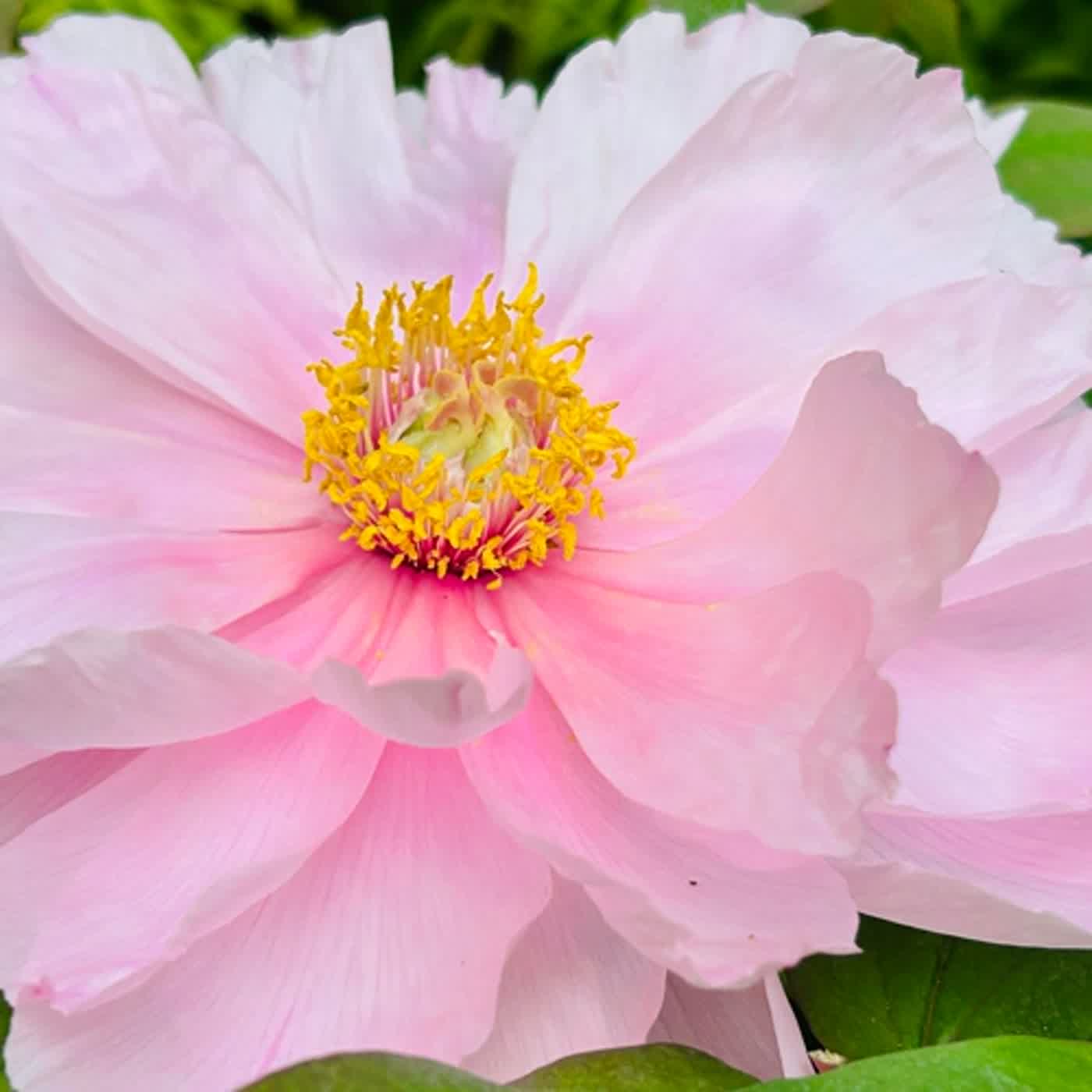 慧馨牧師與你一起讀經：詩篇119:33-40華