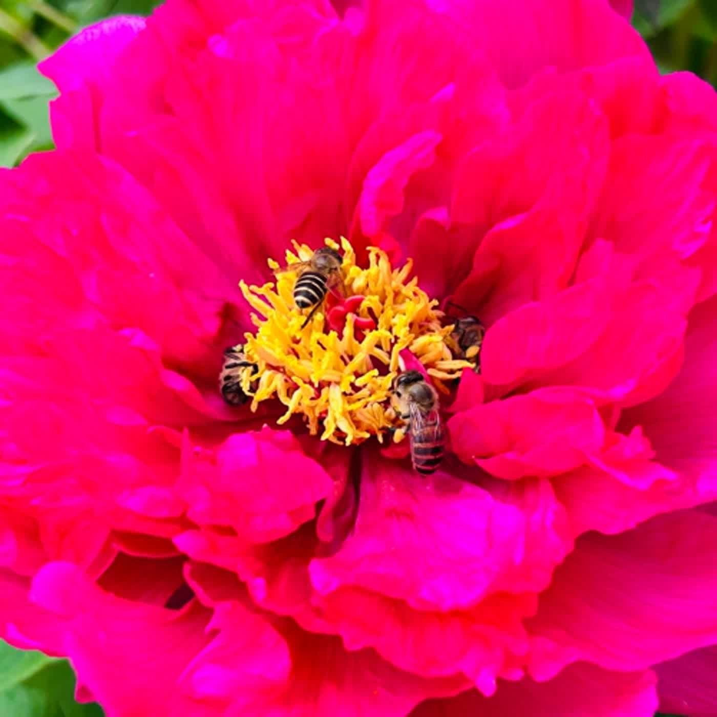 慧馨牧師與你一起讀經：詩篇119:113-120華