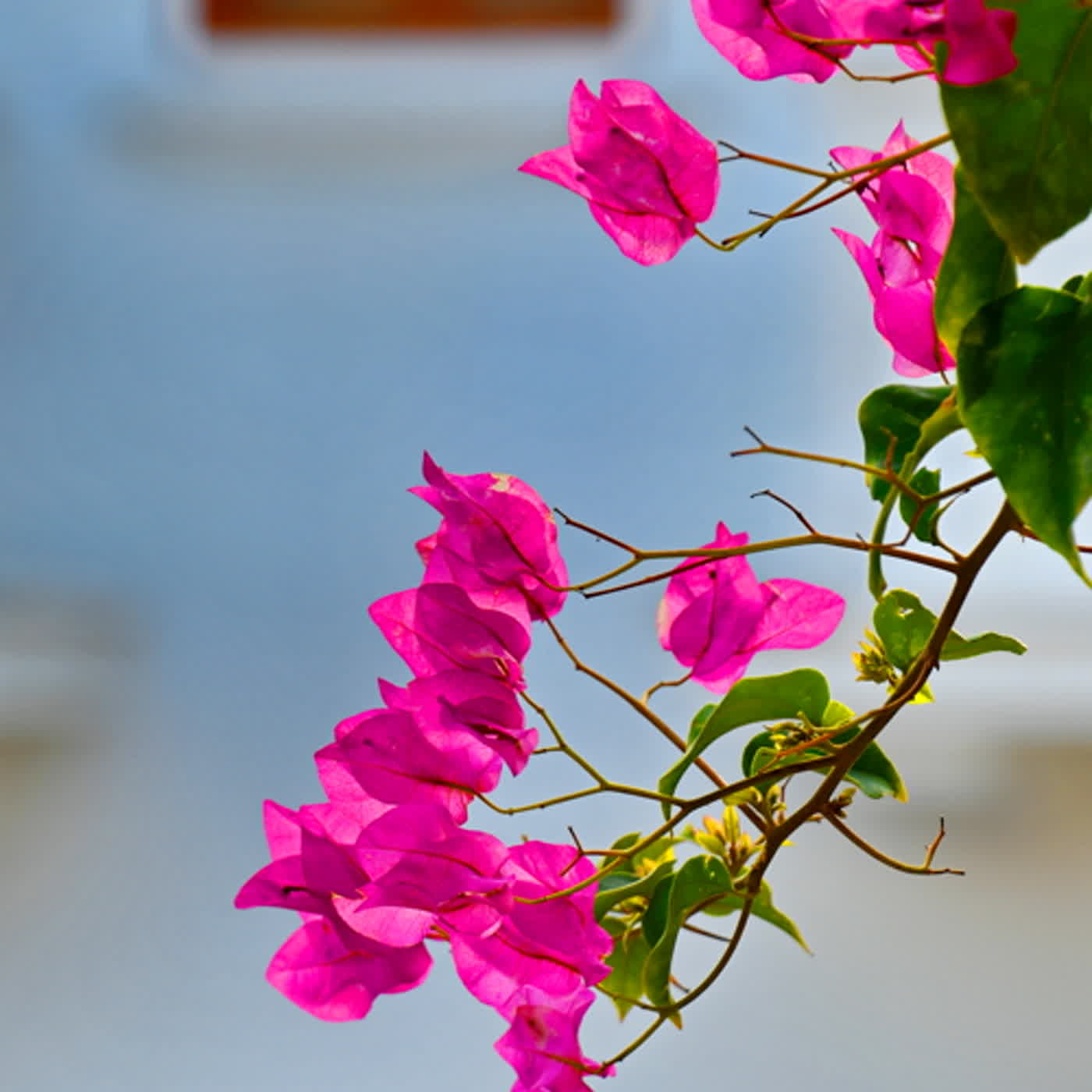 慧馨牧師與你一起讀經：詩篇28華