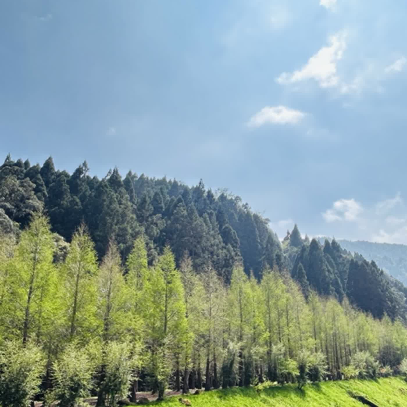 慧馨牧師與你一起讀經：詩篇99台