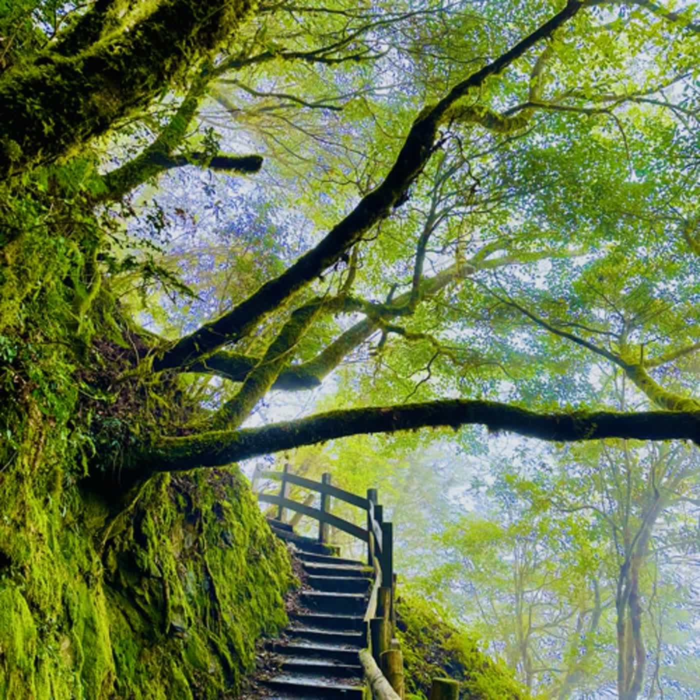 慧馨牧師與你一起讀經：詩篇17華