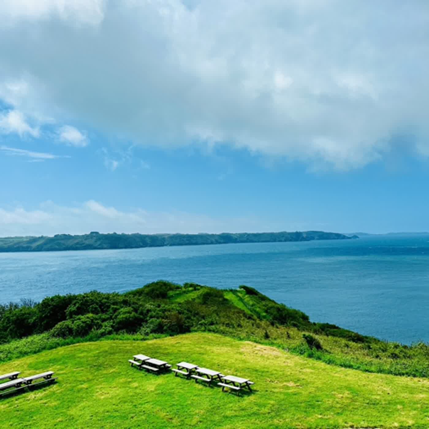 慧馨牧師與你一起讀經：詩篇26華