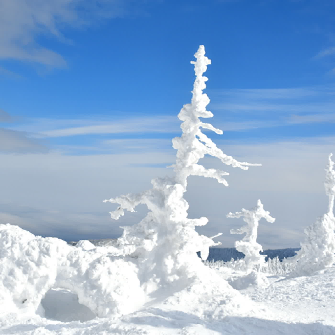 慧馨牧師與你一起讀經：詩篇35台