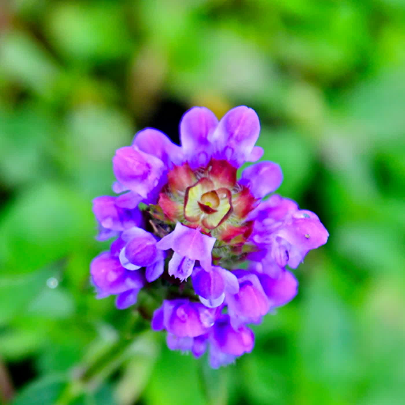 慧馨牧師與你一起讀經：詩篇29華