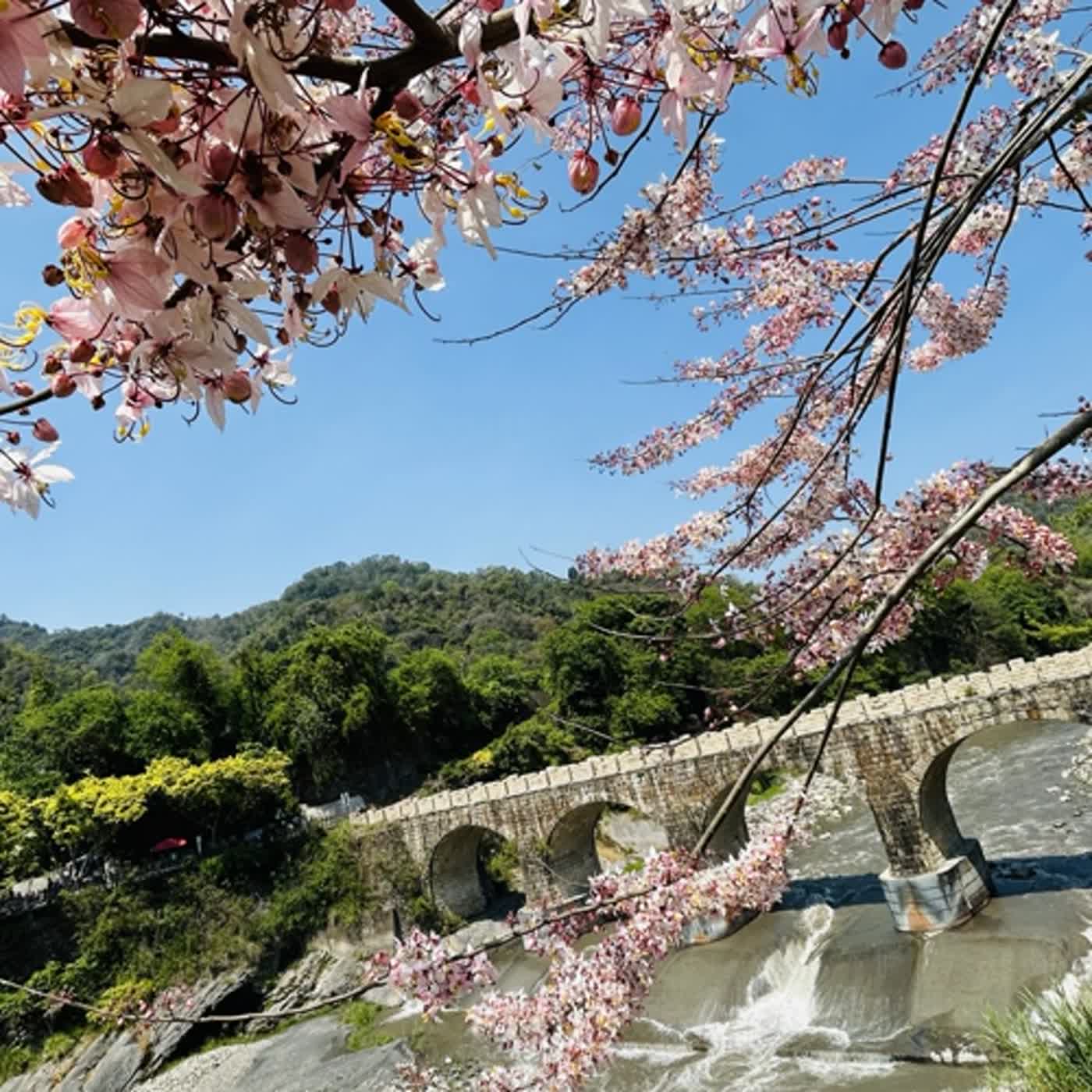 慧馨牧師與你一起讀經：詩篇96台