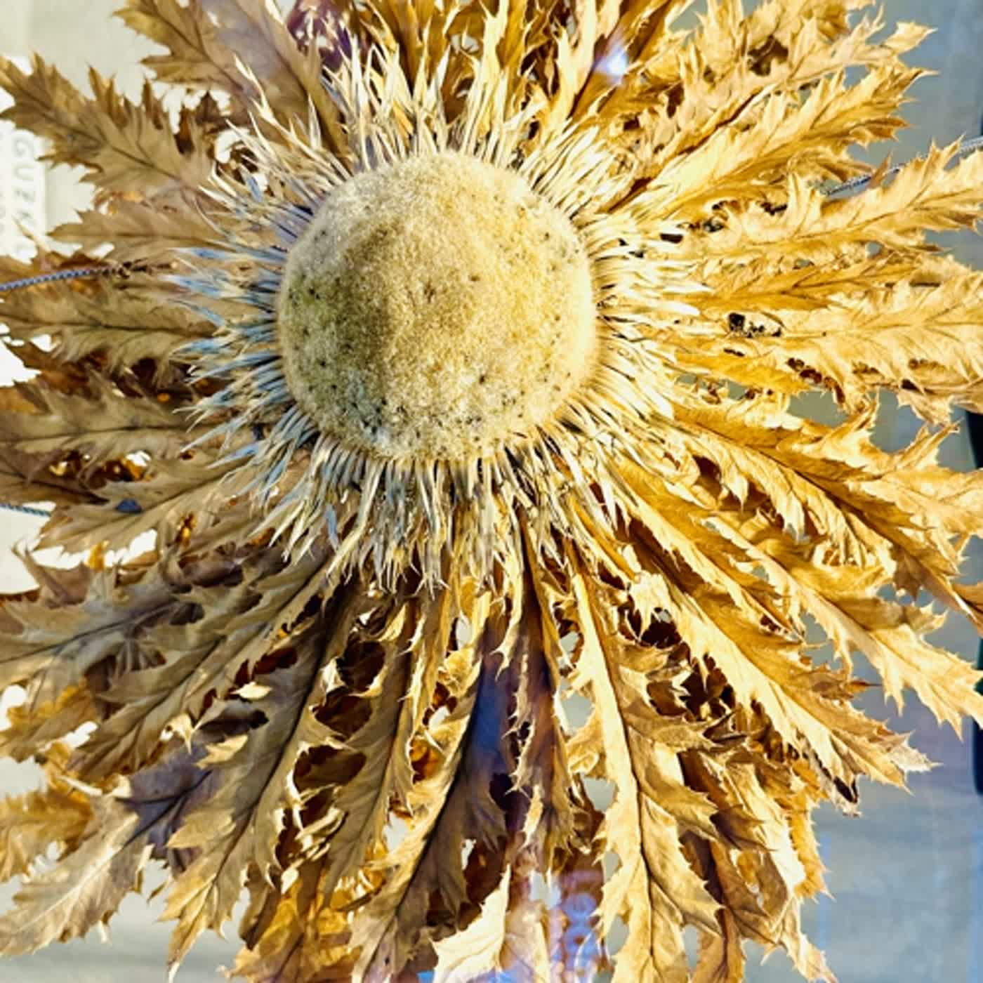 慧馨牧師與你一起讀經：詩篇41台