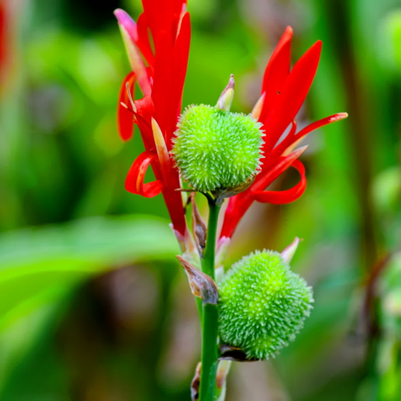 慧馨牧師與你一起讀經：詩篇18:25-50華