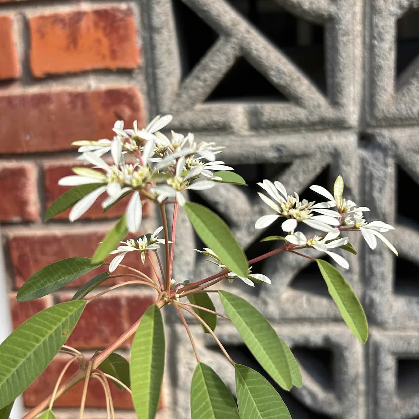 慧馨牧師與您讀經禱告：阿摩司書3-4