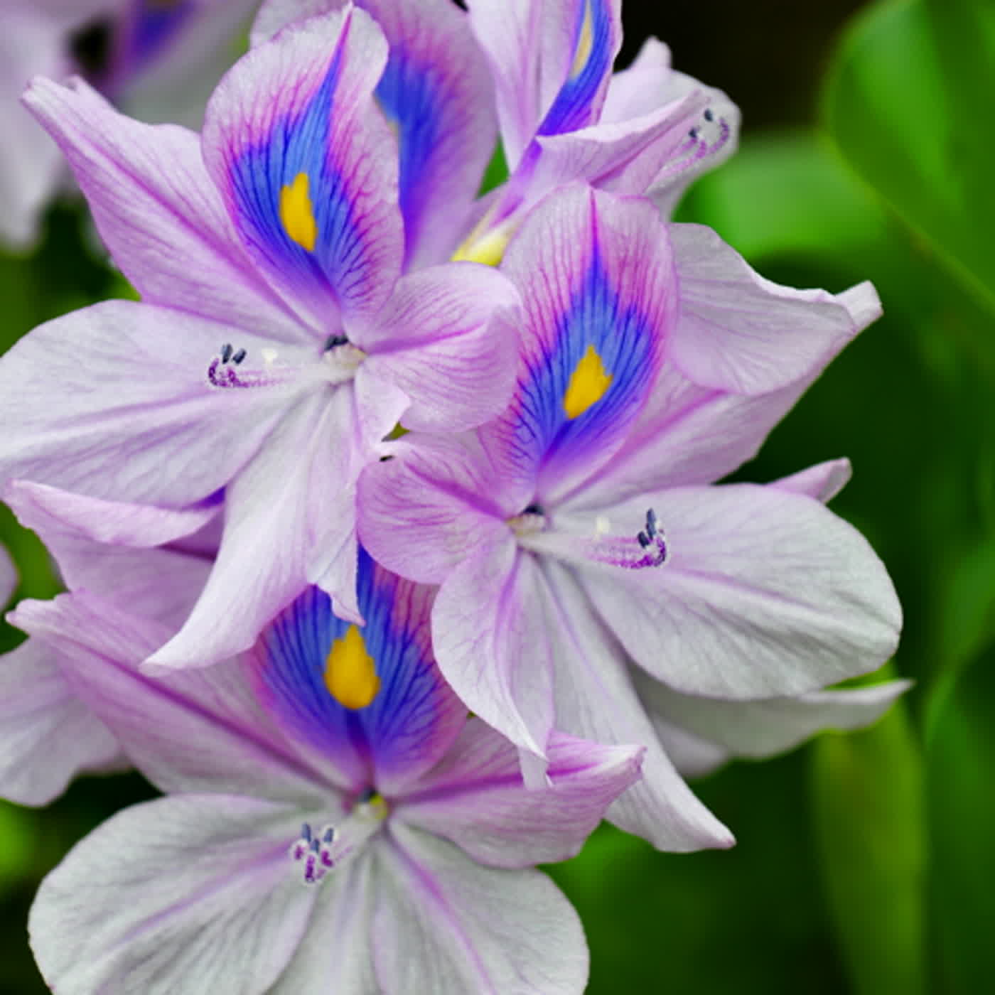 慧馨牧師與你一起讀經：詩篇30華