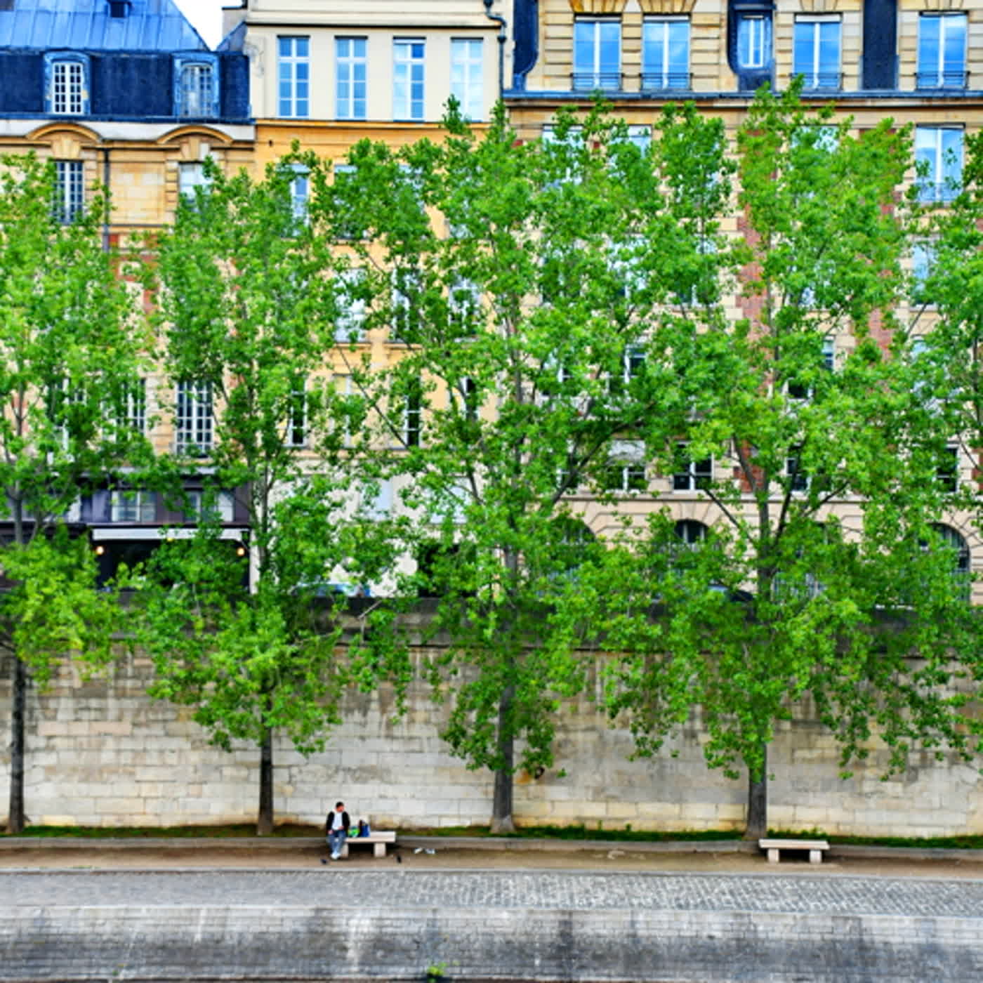 慧馨牧師與你一起讀經：詩篇25華