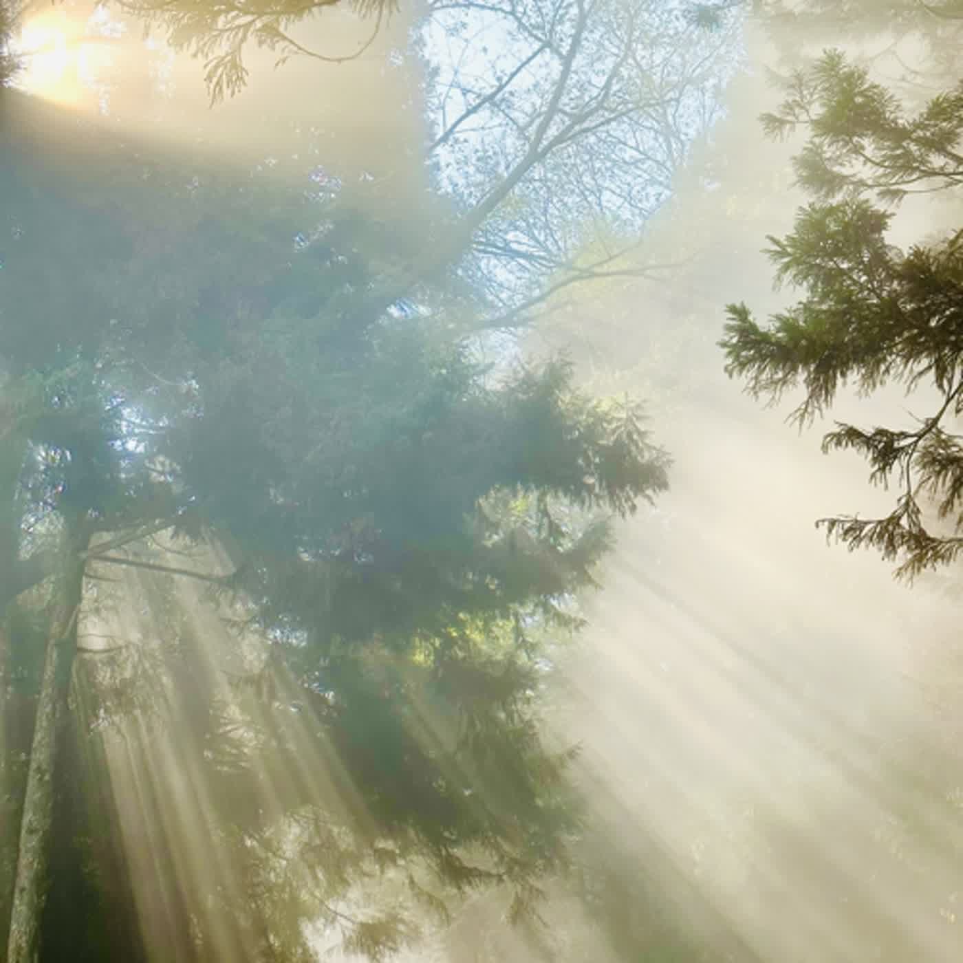 慧馨牧師與你一起讀經：詩篇16台