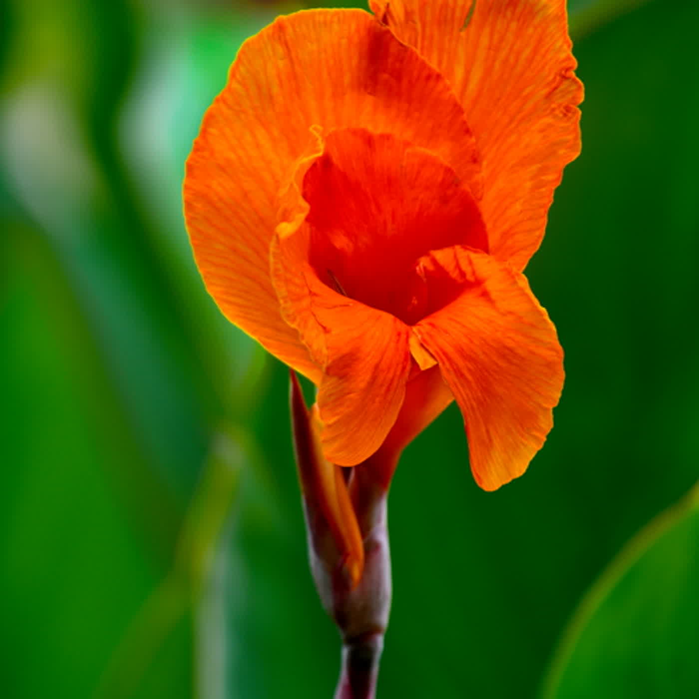 慧馨牧師與你一起讀經：詩篇19華