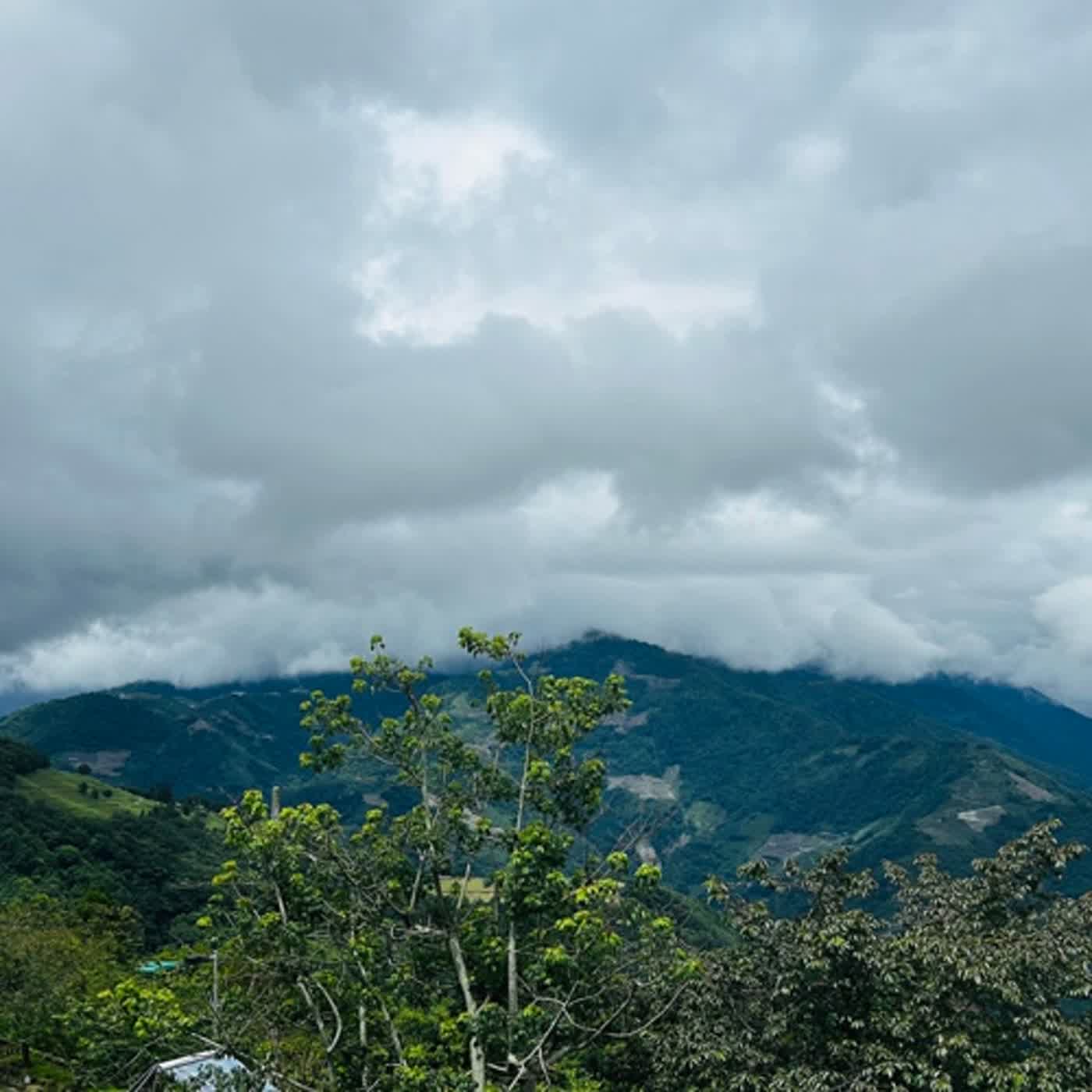 慧馨牧師與你一起讀經：詩篇150華