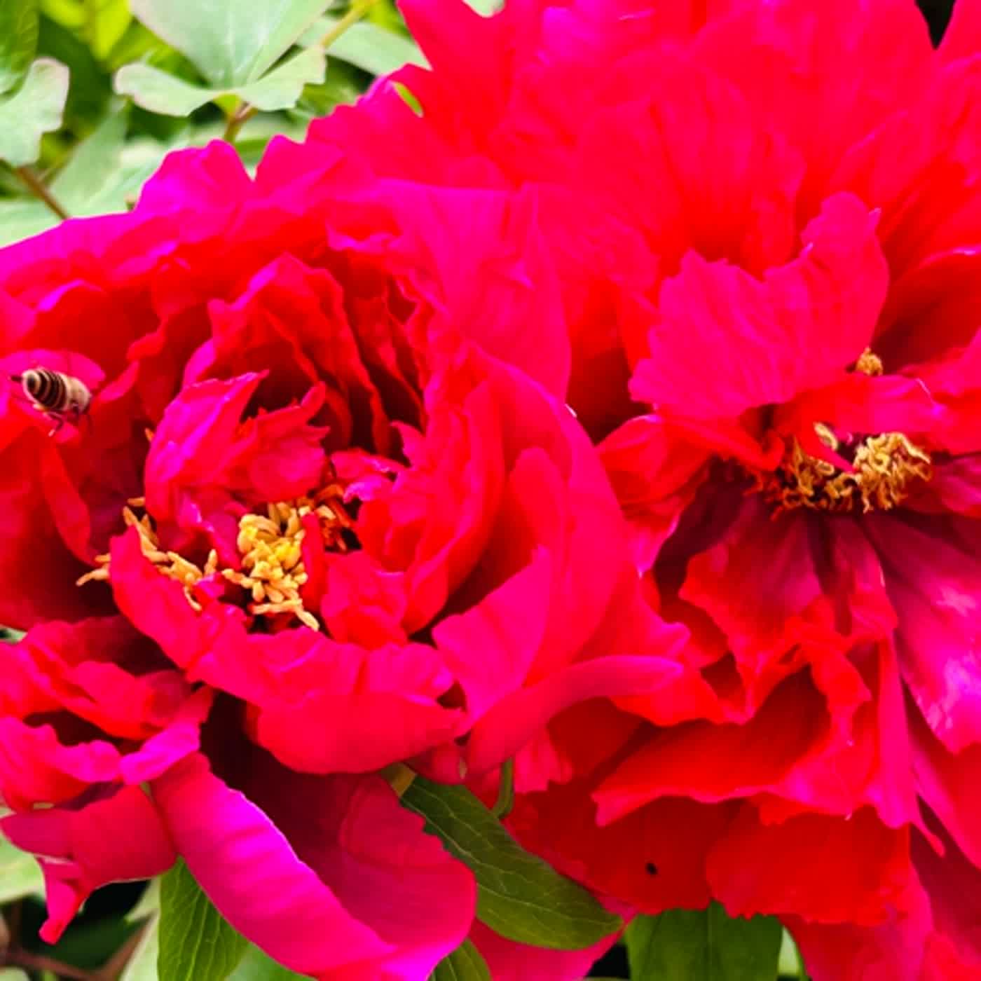 慧馨牧師與你一起讀經：詩篇119:17-24華