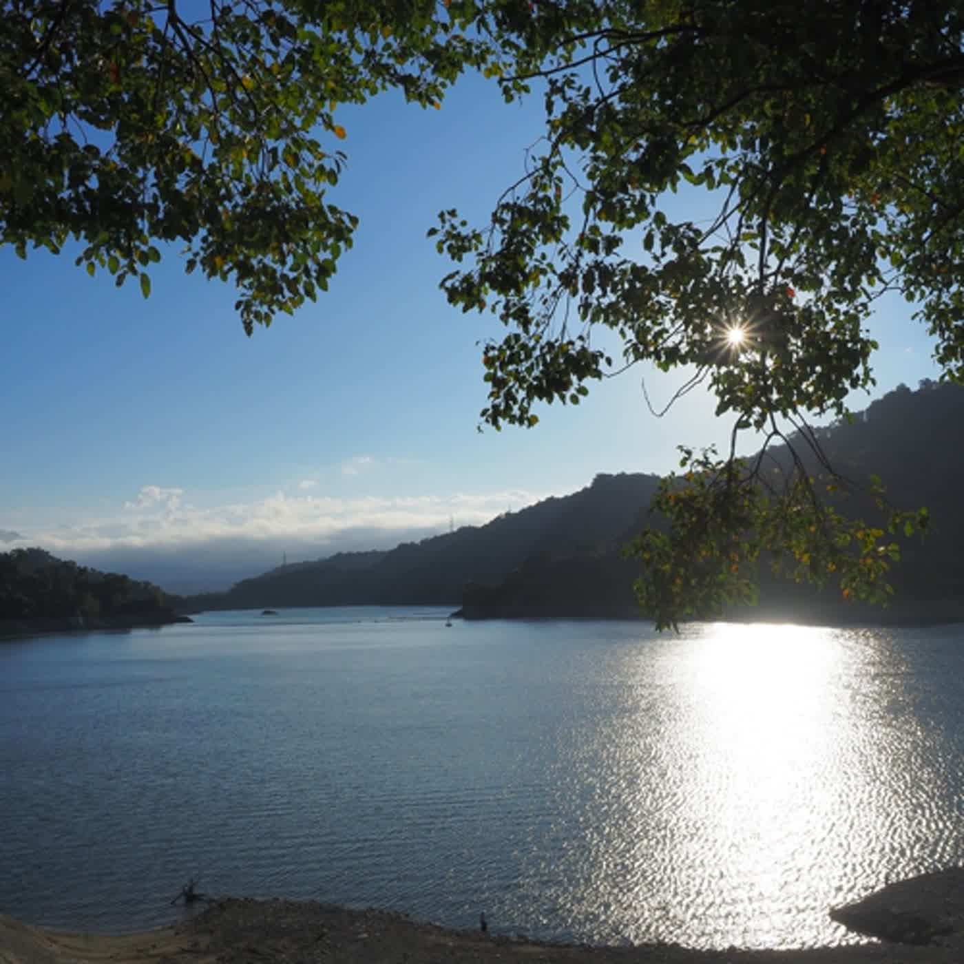 慧馨牧師與你一起讀經：箴言4華