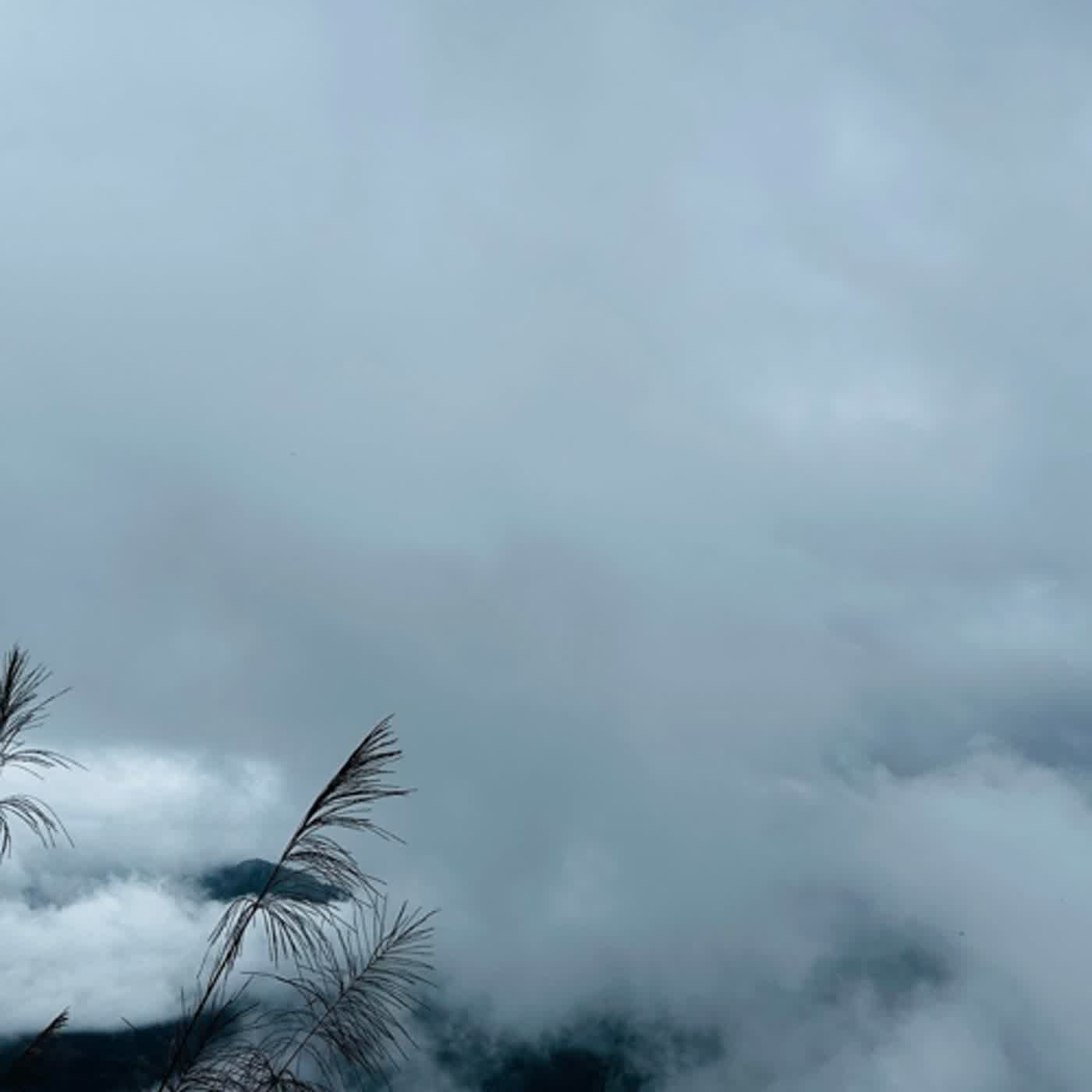 慧馨牧師與你一起讀經：詩篇142台