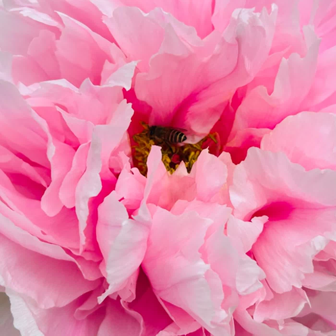 慧馨牧師與你一起讀經：詩篇123台