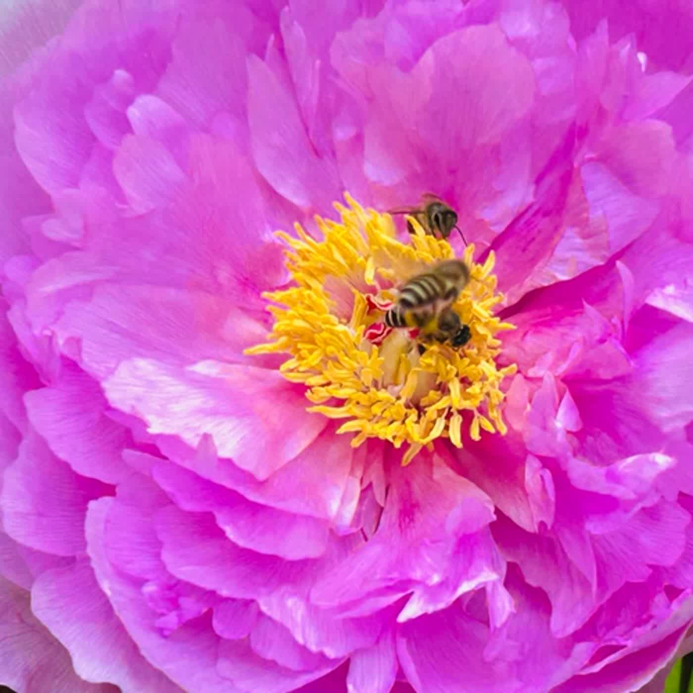 慧馨牧師與你一起讀經：詩篇130台