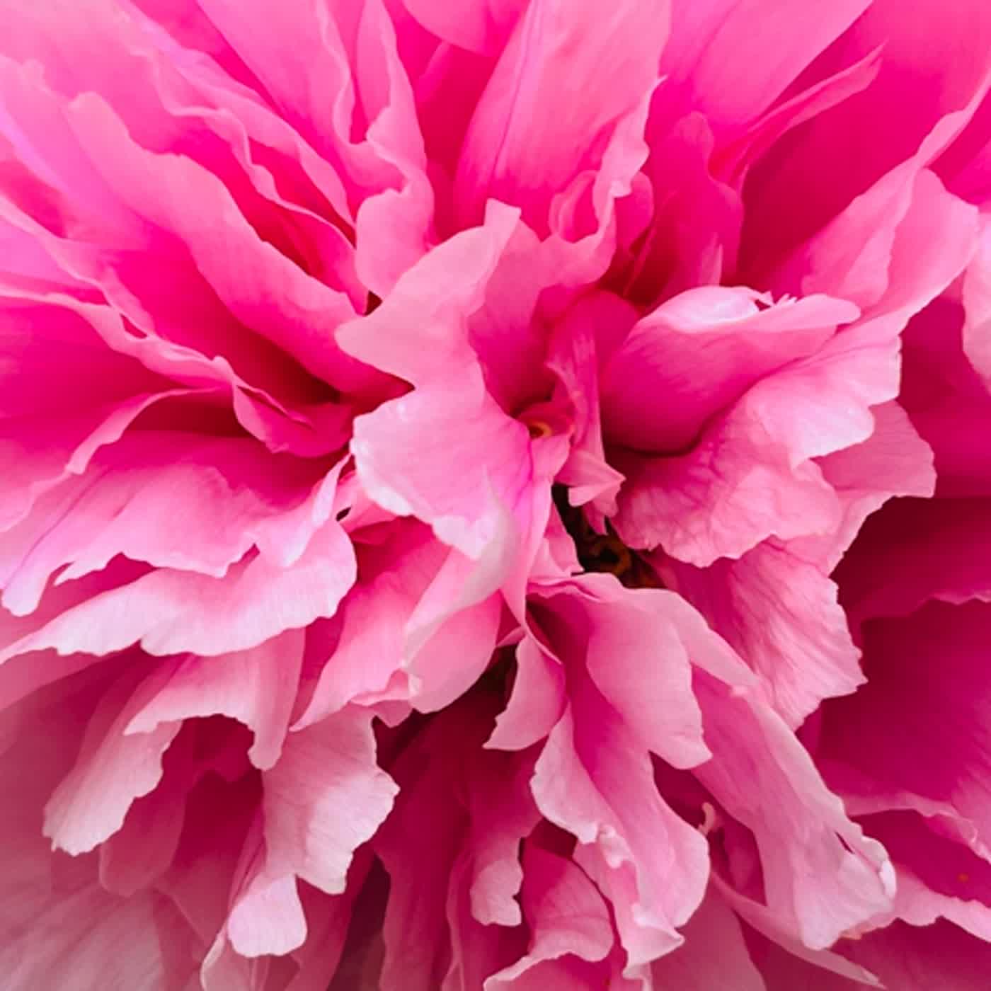 慧馨牧師與你一起讀經：詩篇119:81-88華