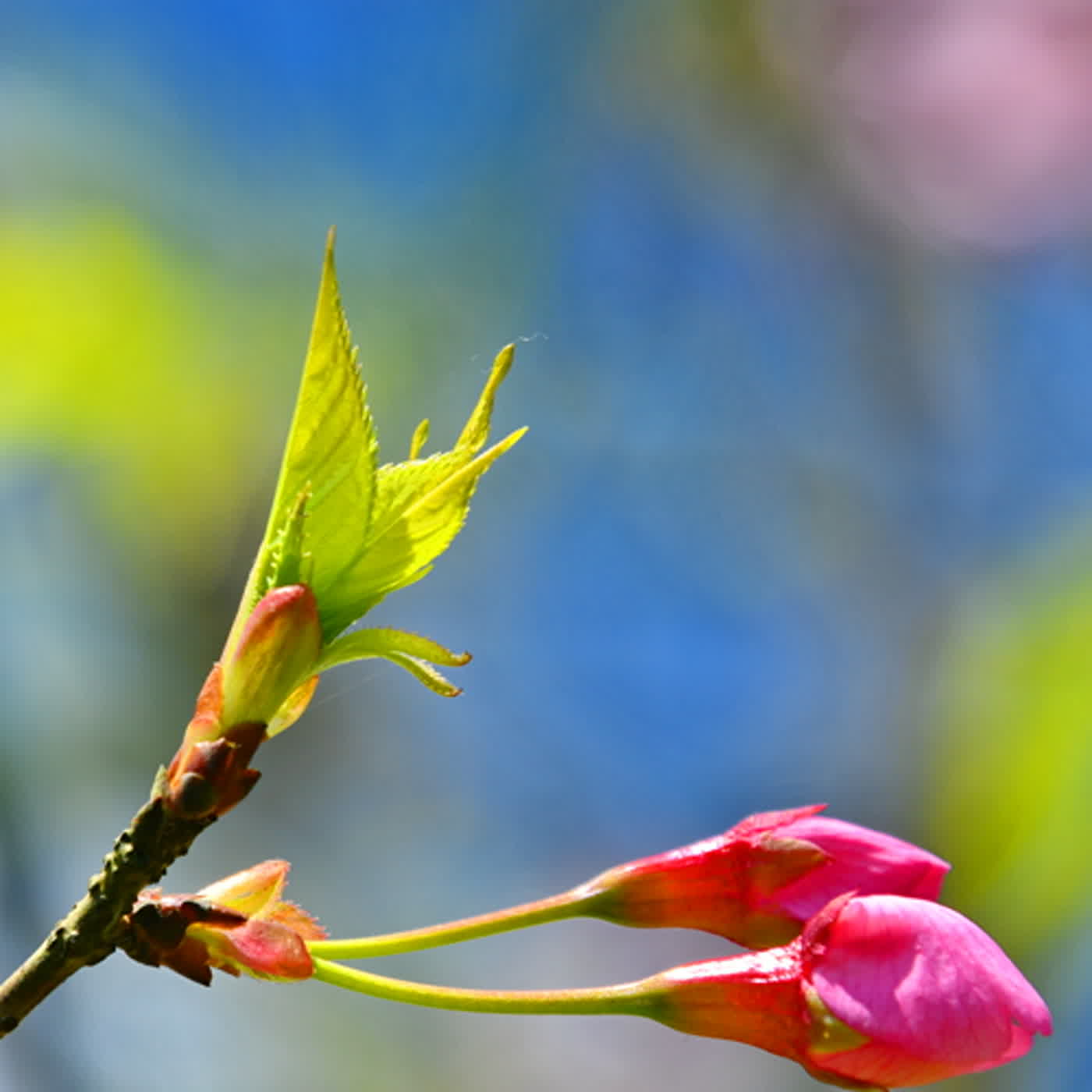 慧馨牧師與你一起讀經：詩篇34華