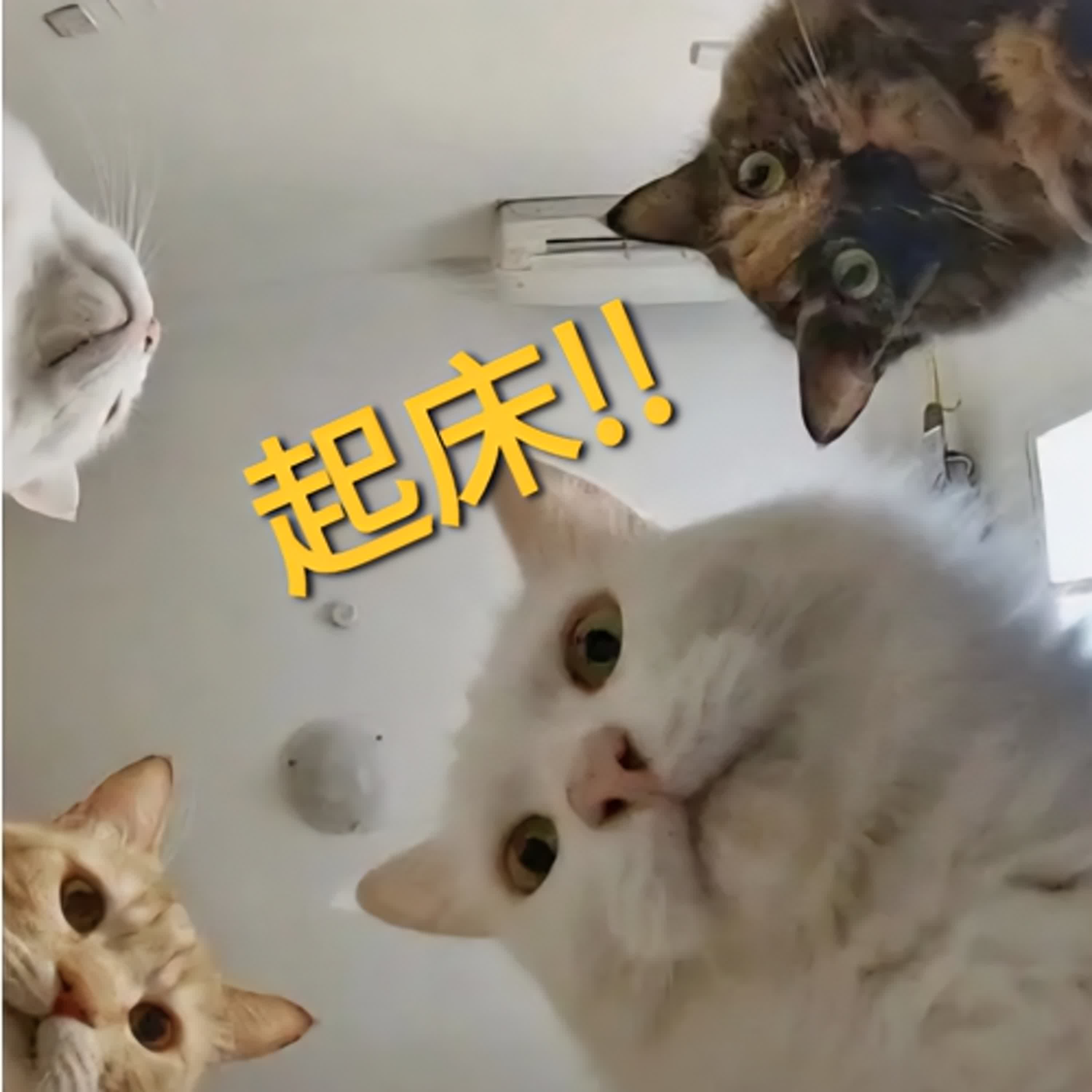 #122定課轉錄~無痛養成早起抄經習慣 #122定課轉錄~無痛養成早起抄經習慣