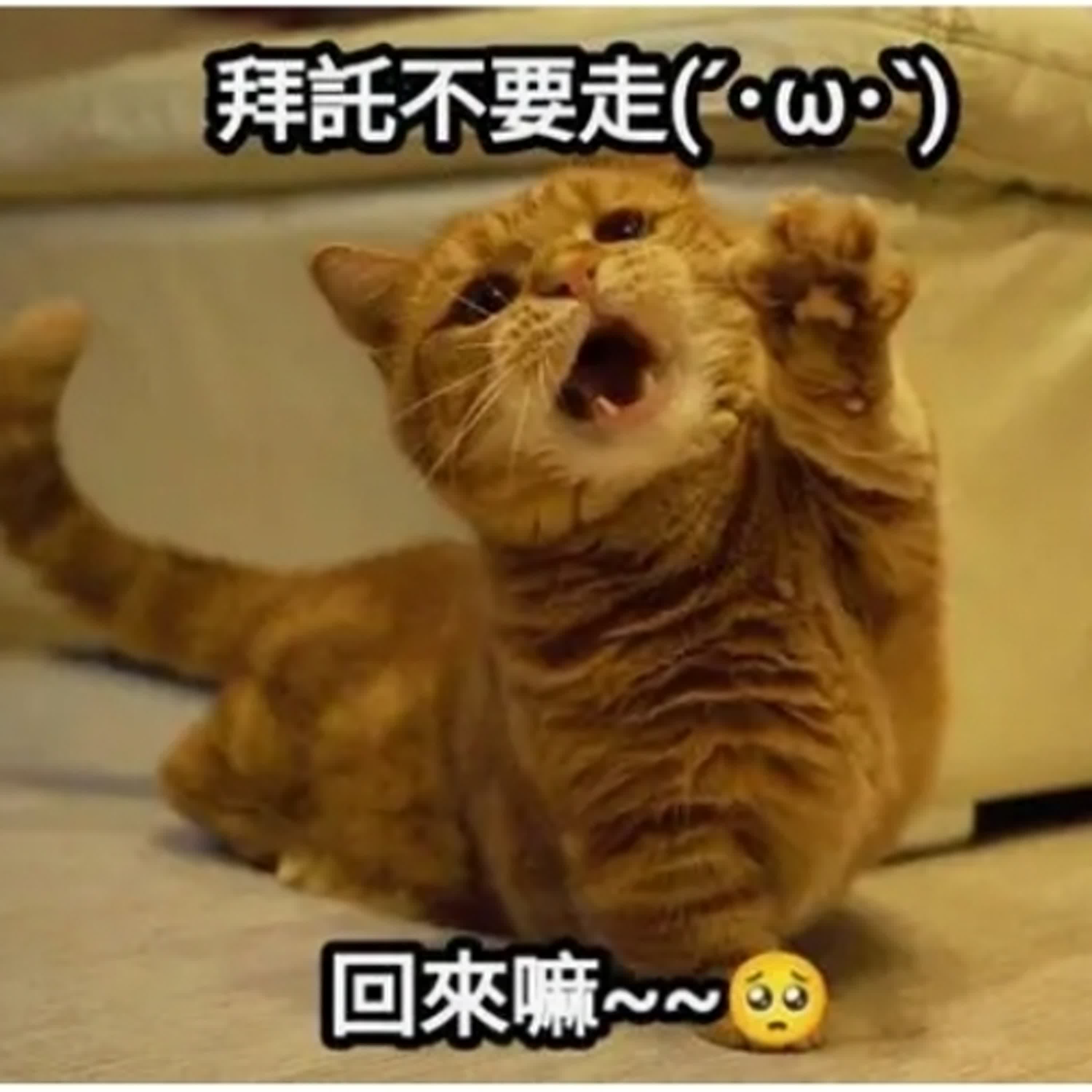 #131 不必在我的身段 #131 不必在我的身段