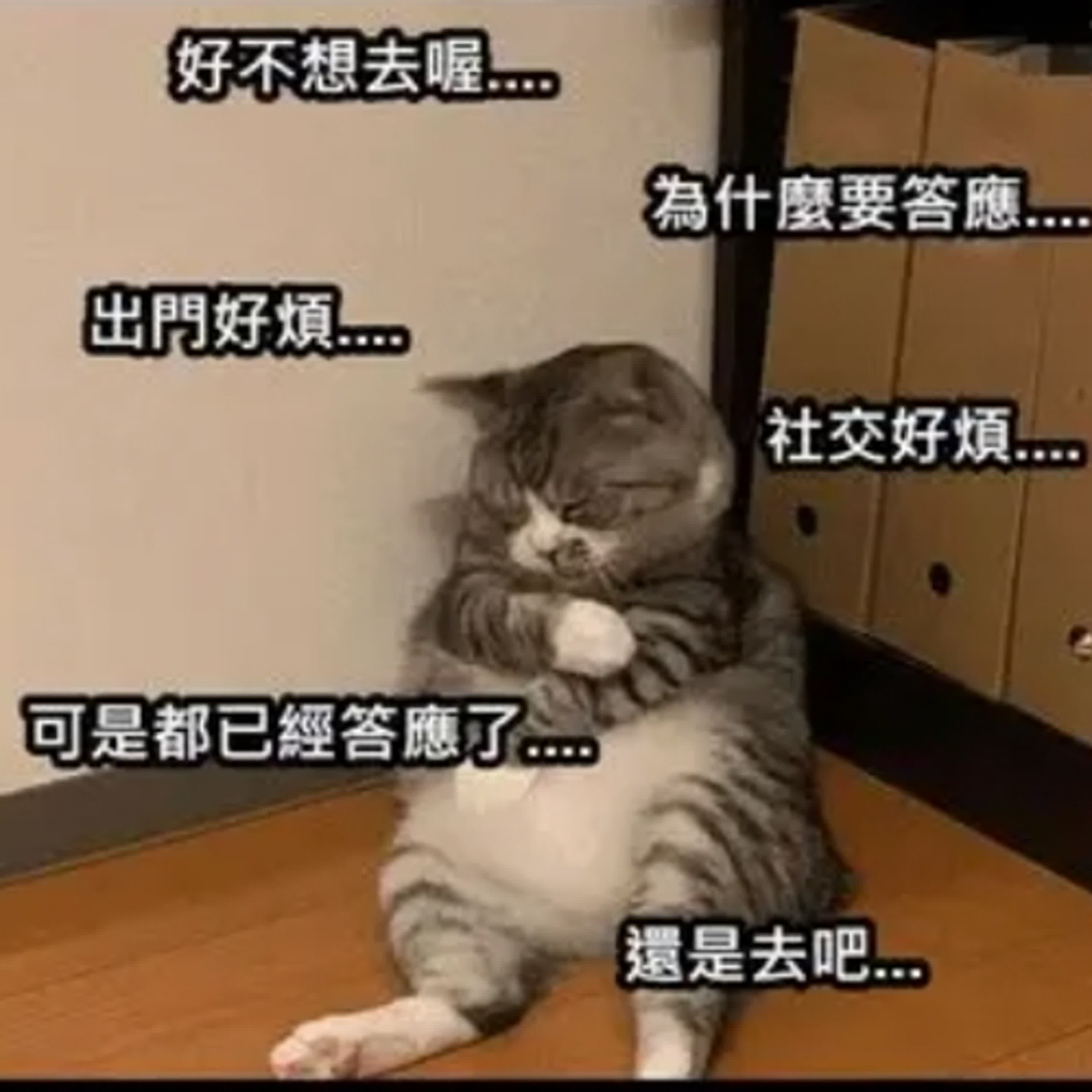 #126定課轉述~I人怎麼就這麼難? #126定課轉述~I人怎麼就這麼難?