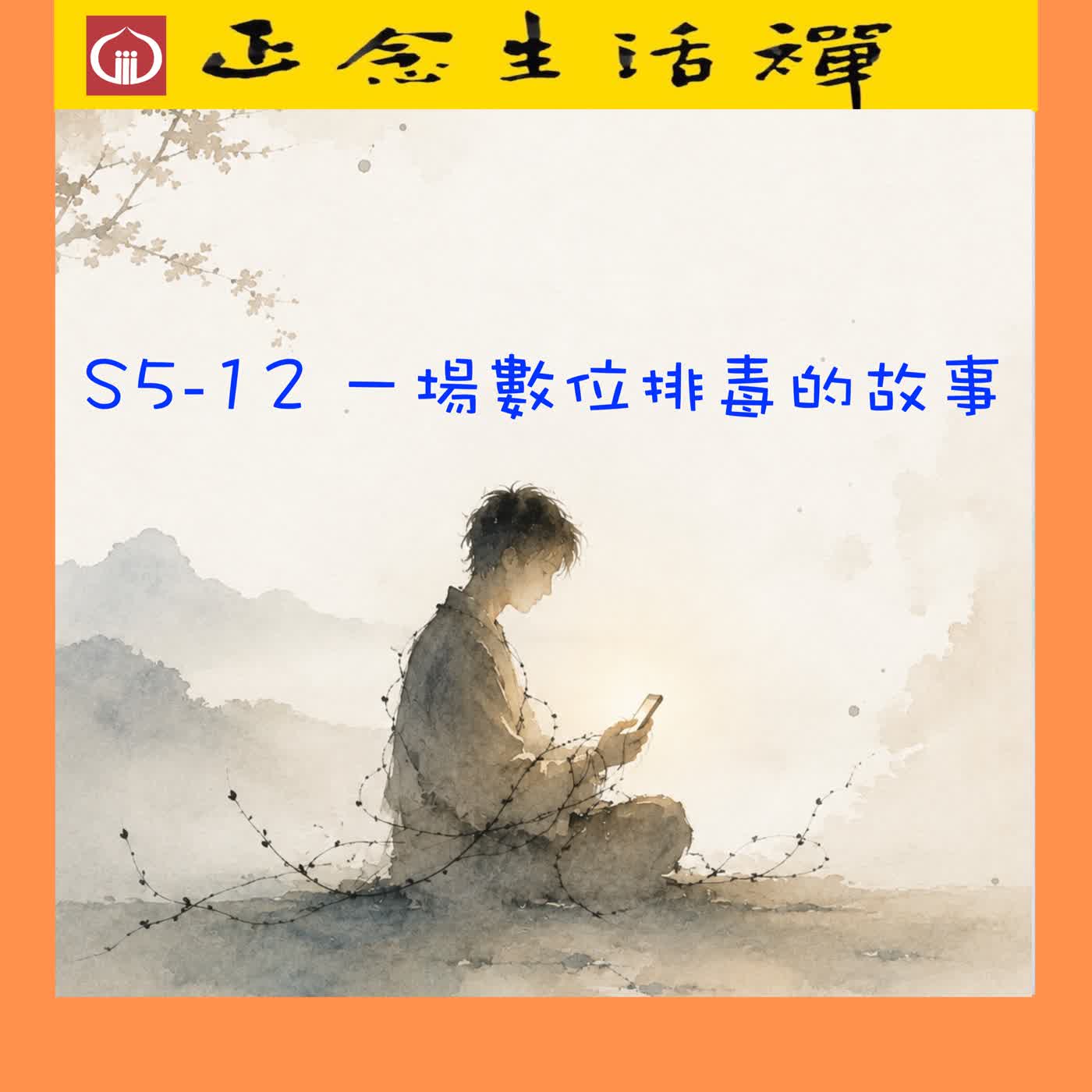 S5-12 一場數位排毒的故事--香光正念生活禪 episode artwork