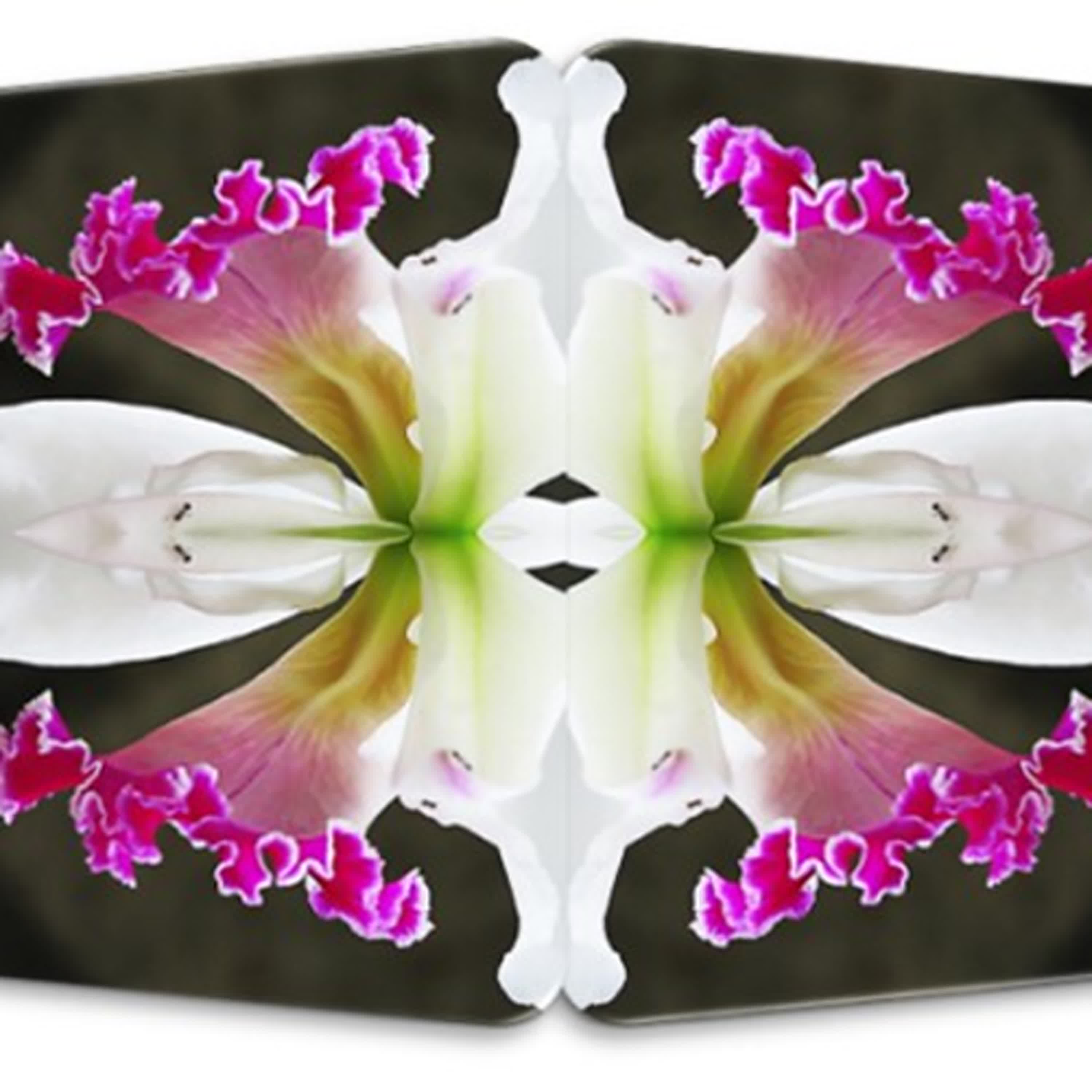 光的課程S4 行星八 第二課 金色之光 靈魂欲望起因體 埃西斯女神的訊息