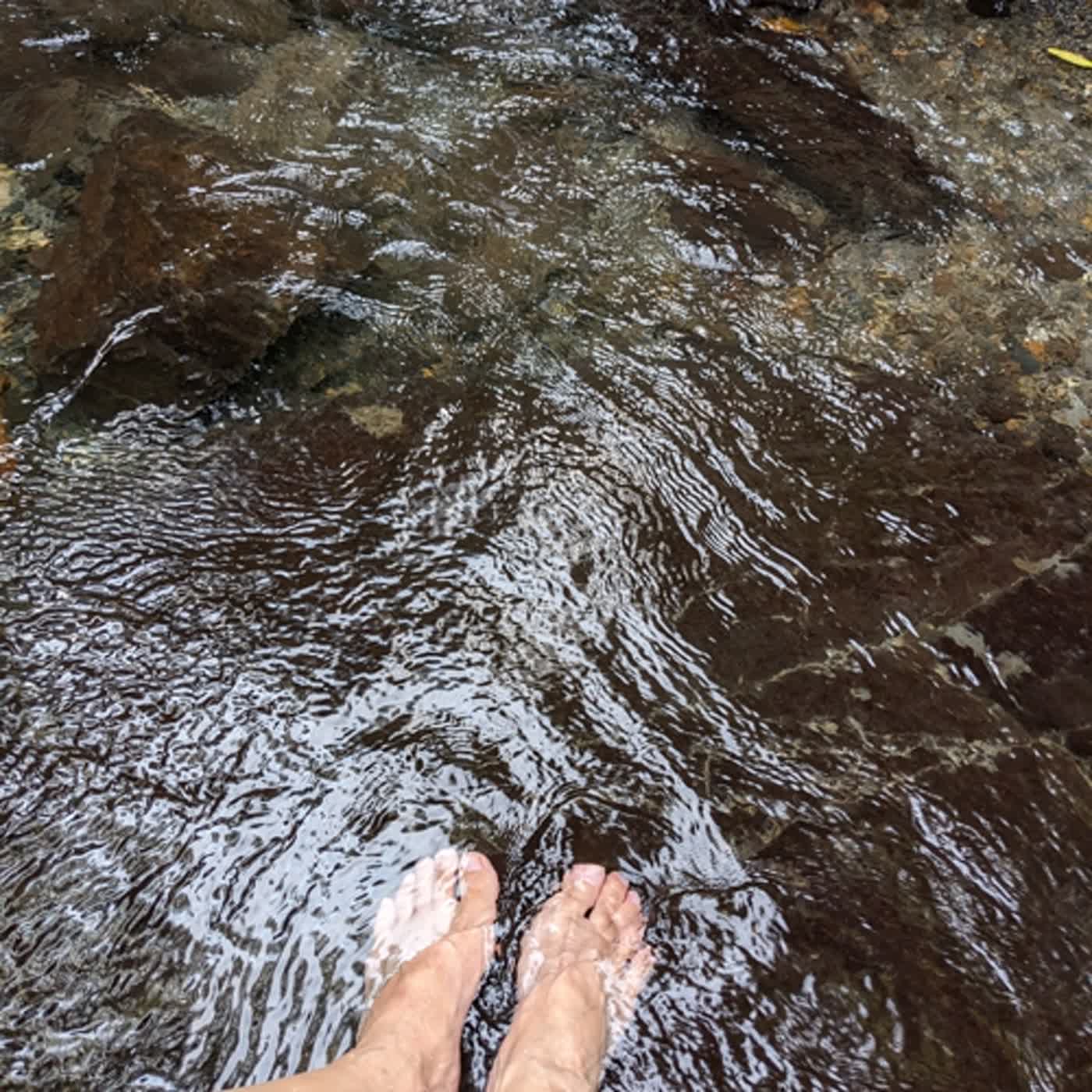 夏至靜流