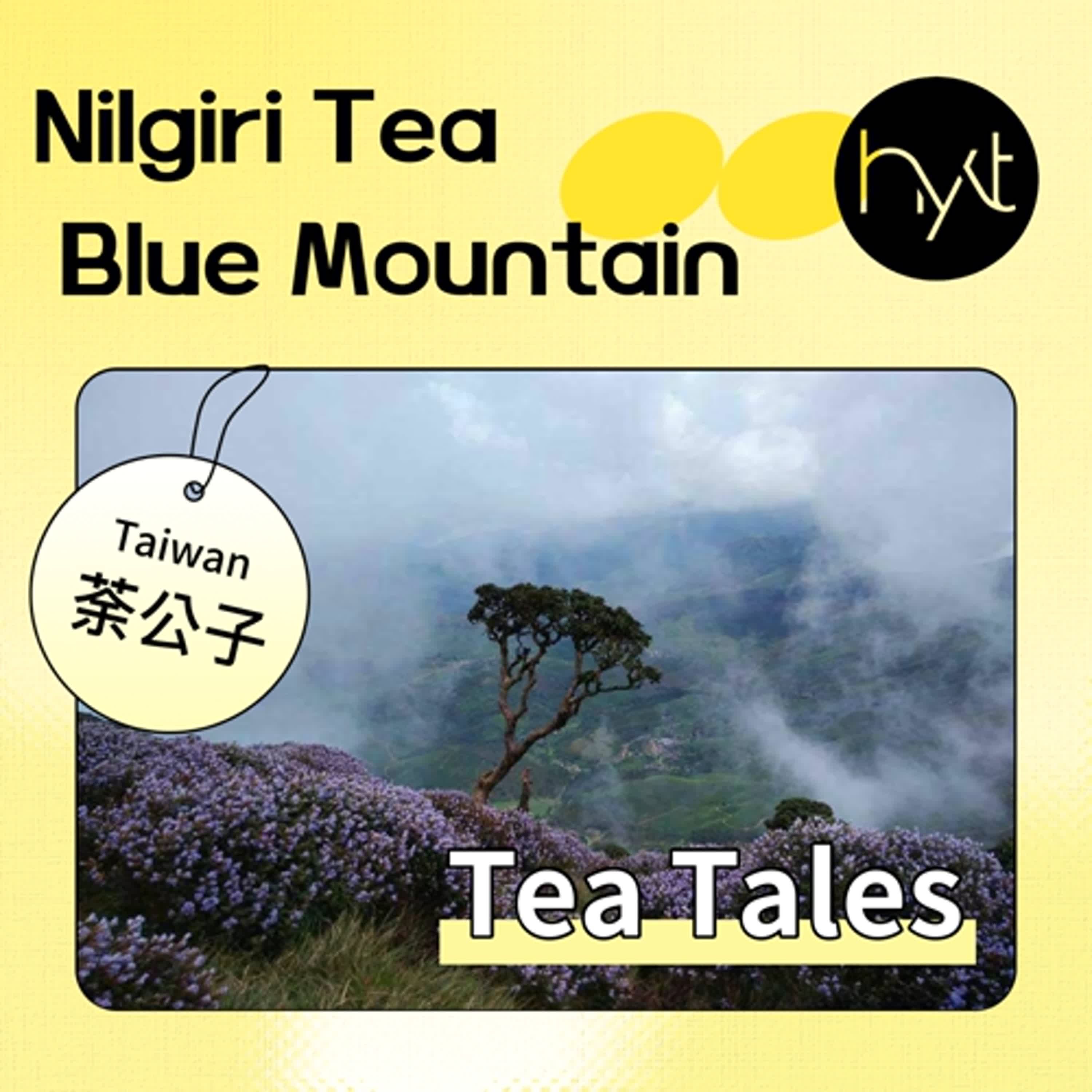 S5E7. Nilgiri Tea: Exploring the Unique Flavors of India's Blue Mountains