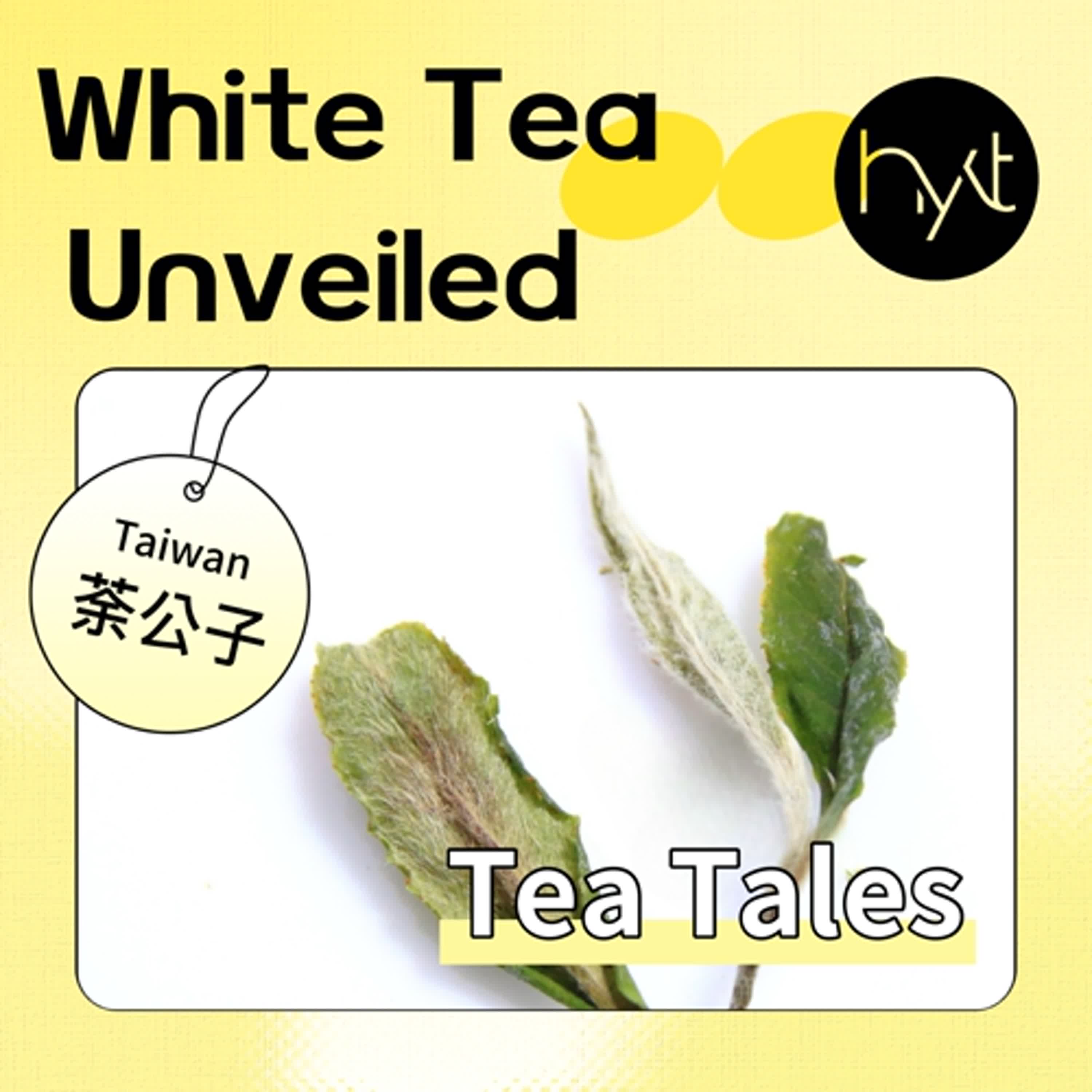 S5E5. White Tea Unveiled: History, Craft, and Health Benefits