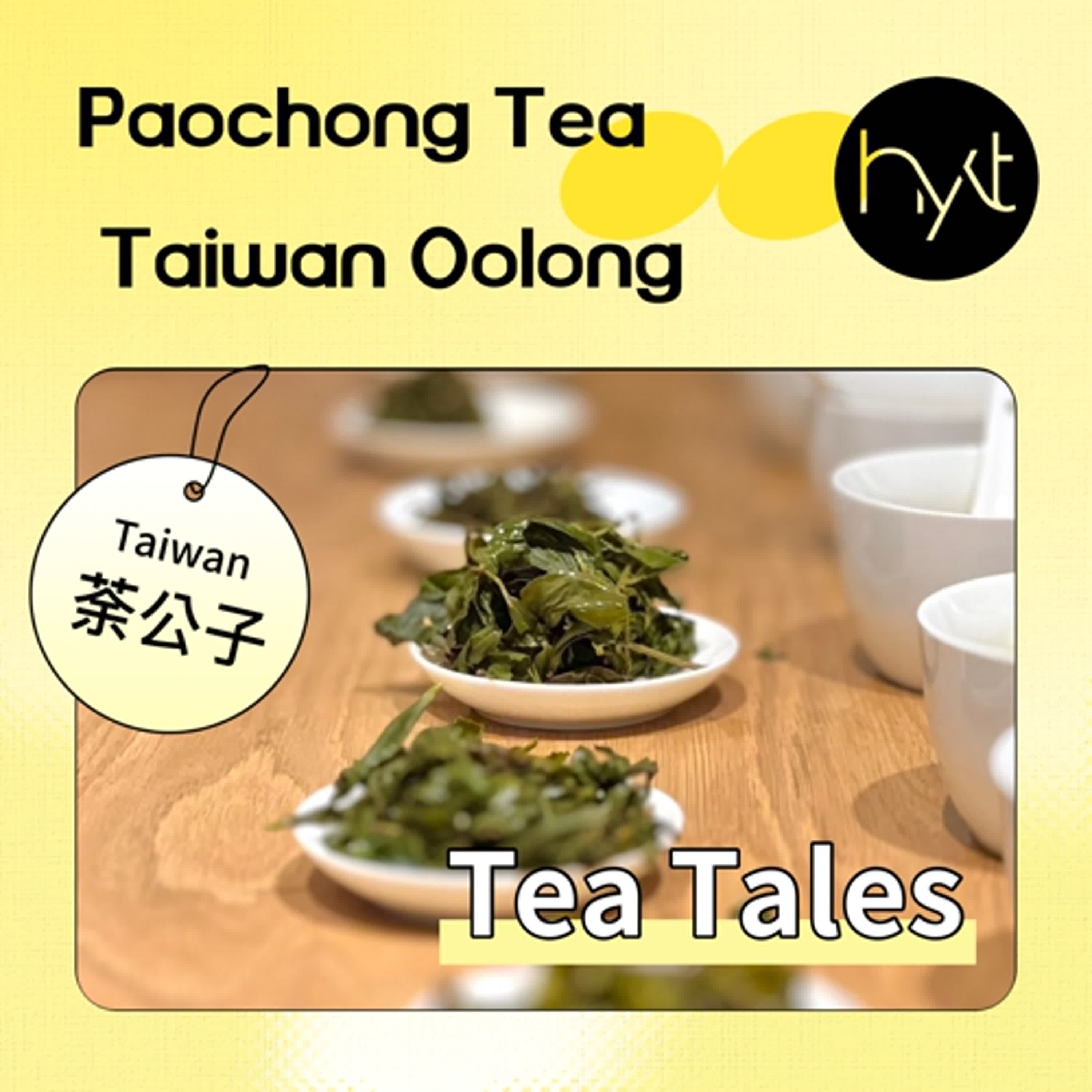 S5E11. Wenshan Paochong: Taiwan's Fragrant Light Oolong Tea