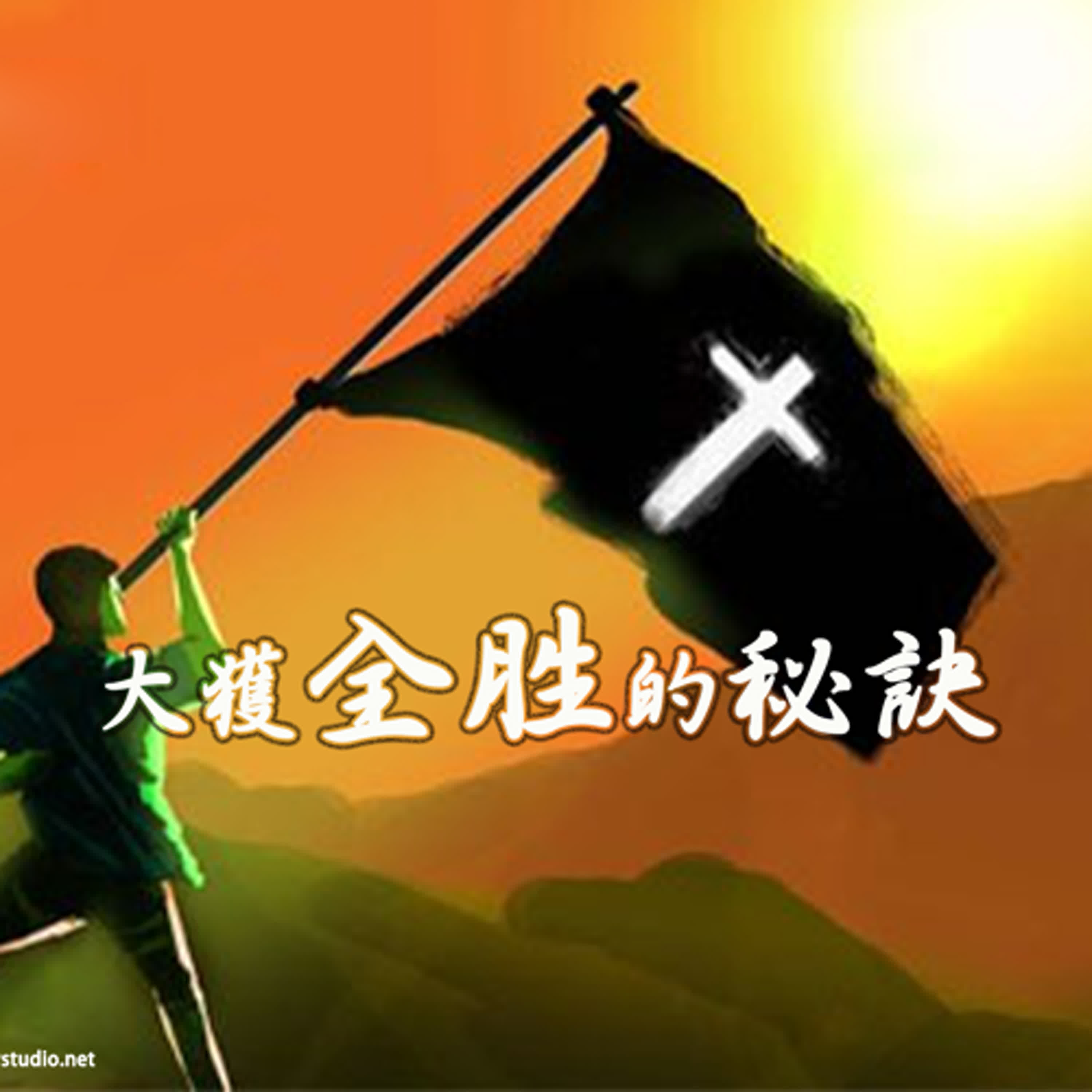 strm039 大获全胜的秘诀 episode artwork