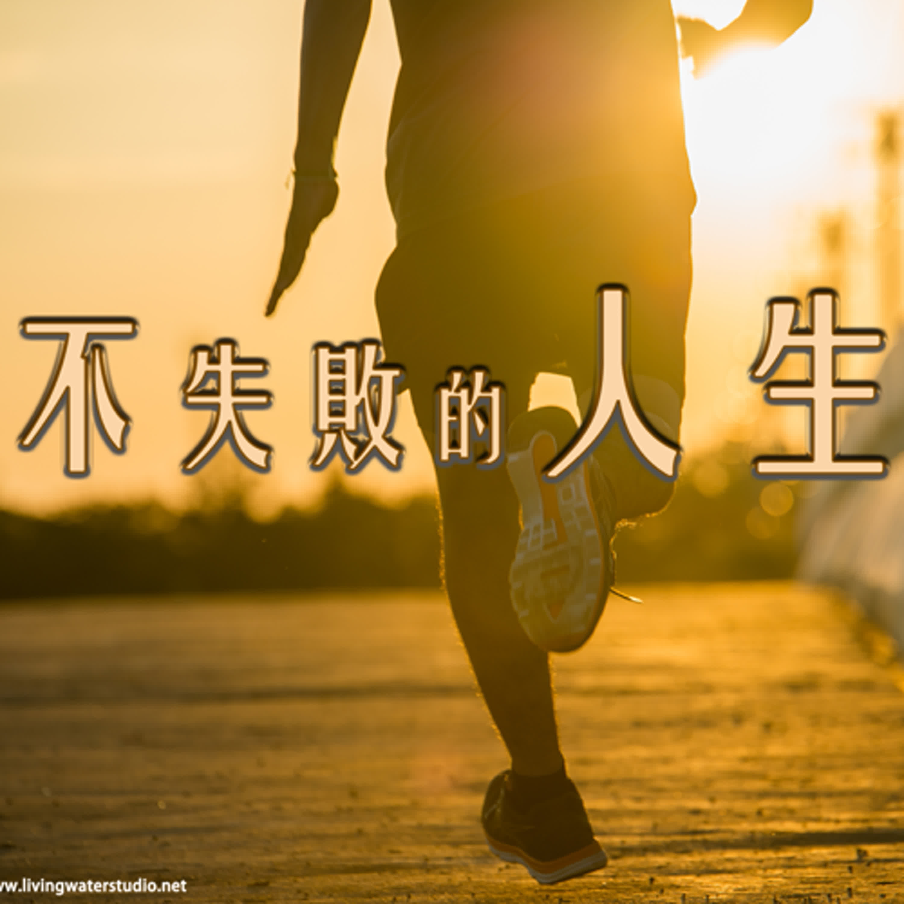 strm037 不失败的人生 episode artwork