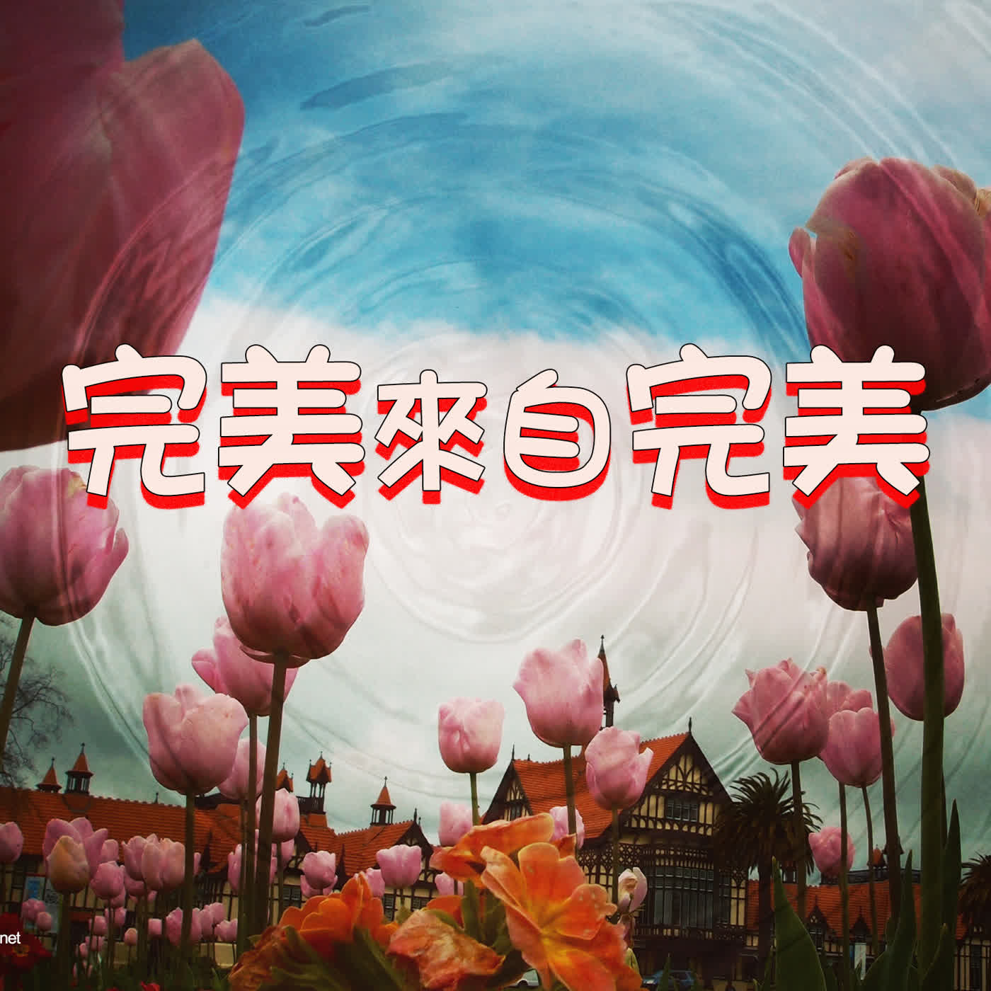 strm130 完美来自完美 episode artwork