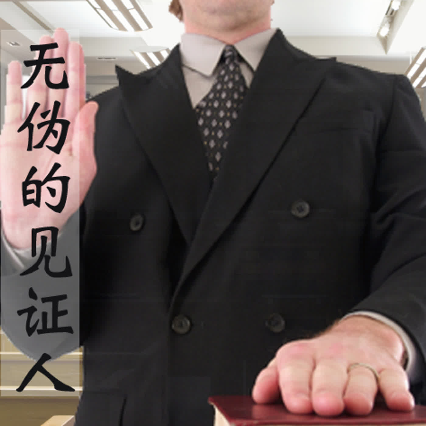 strm054 无伪的见证人 episode artwork