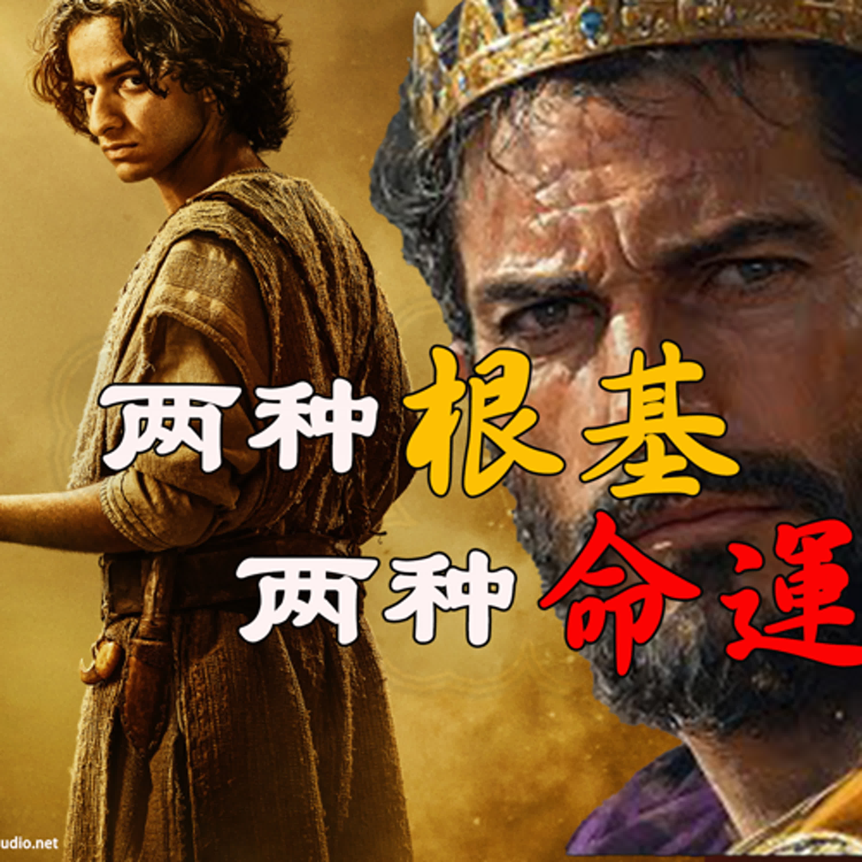 2sam012 两种根基，两种命运 episode artwork