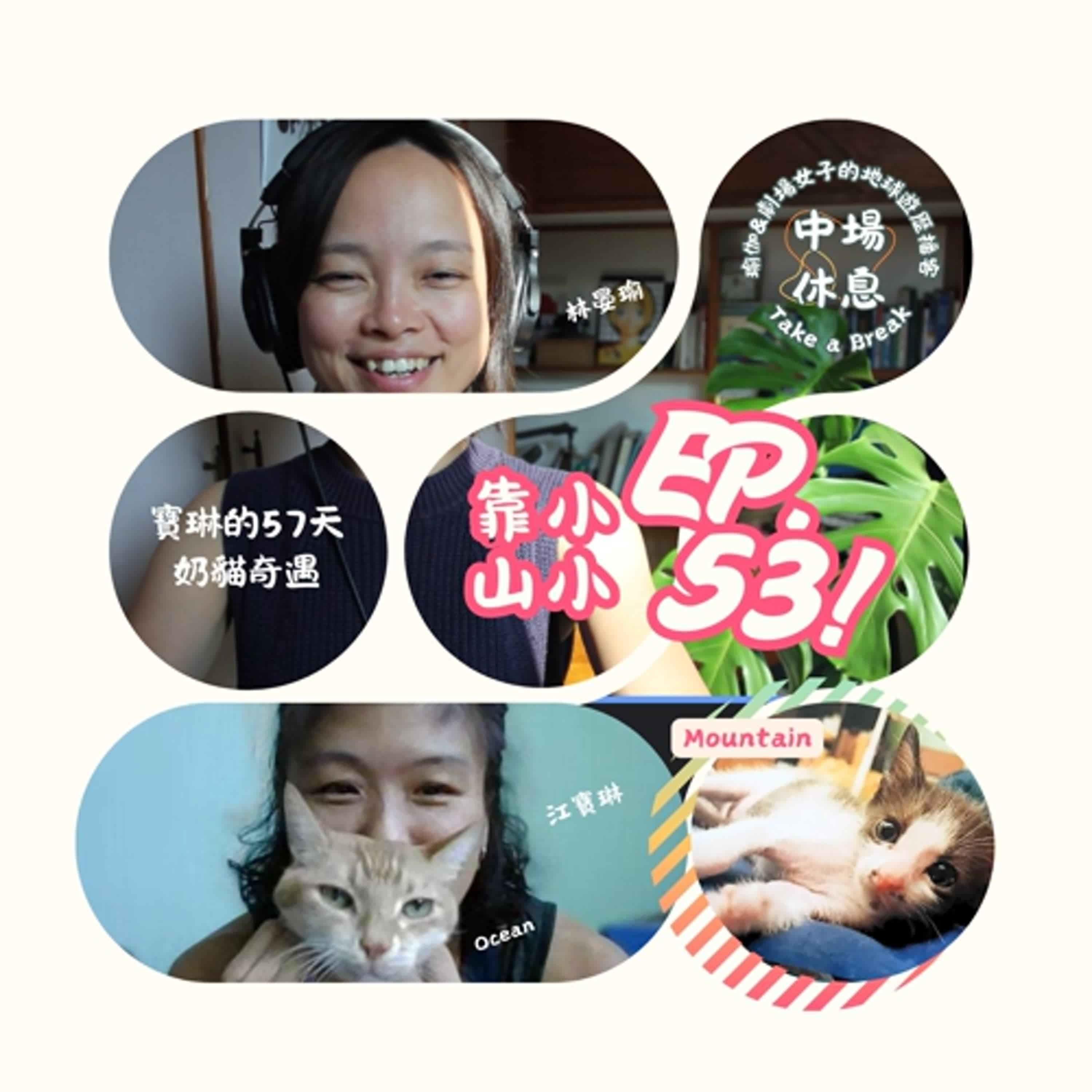 EP53 | 小小靠山-寶琳的57天奶貓奇遇