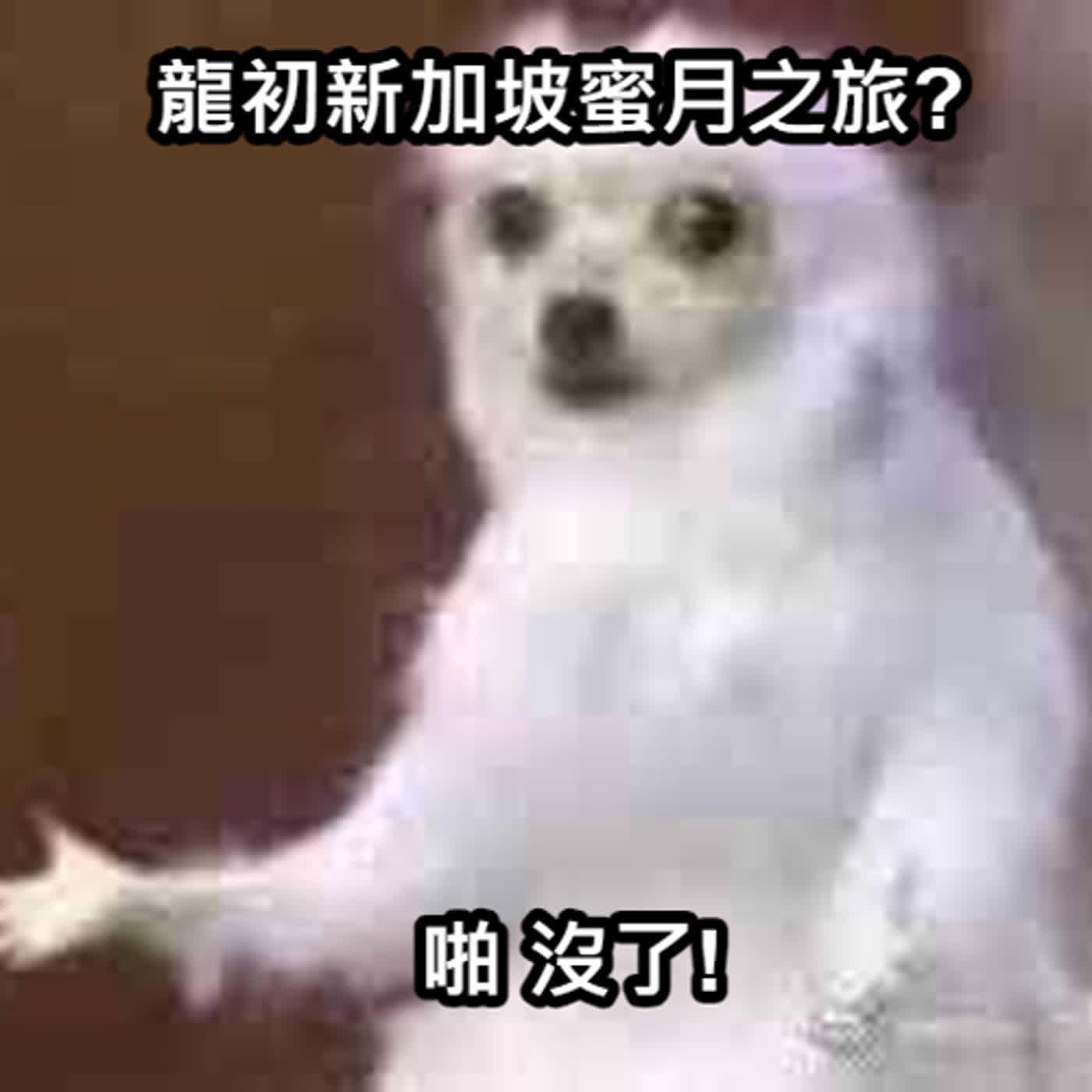 EP43 戀愛兄妹第11集~戀愛兄妹的龍宇怎麼了！貓派狗派哪一派？愛情來太快就像龍捲風？來得快去得快嗎？