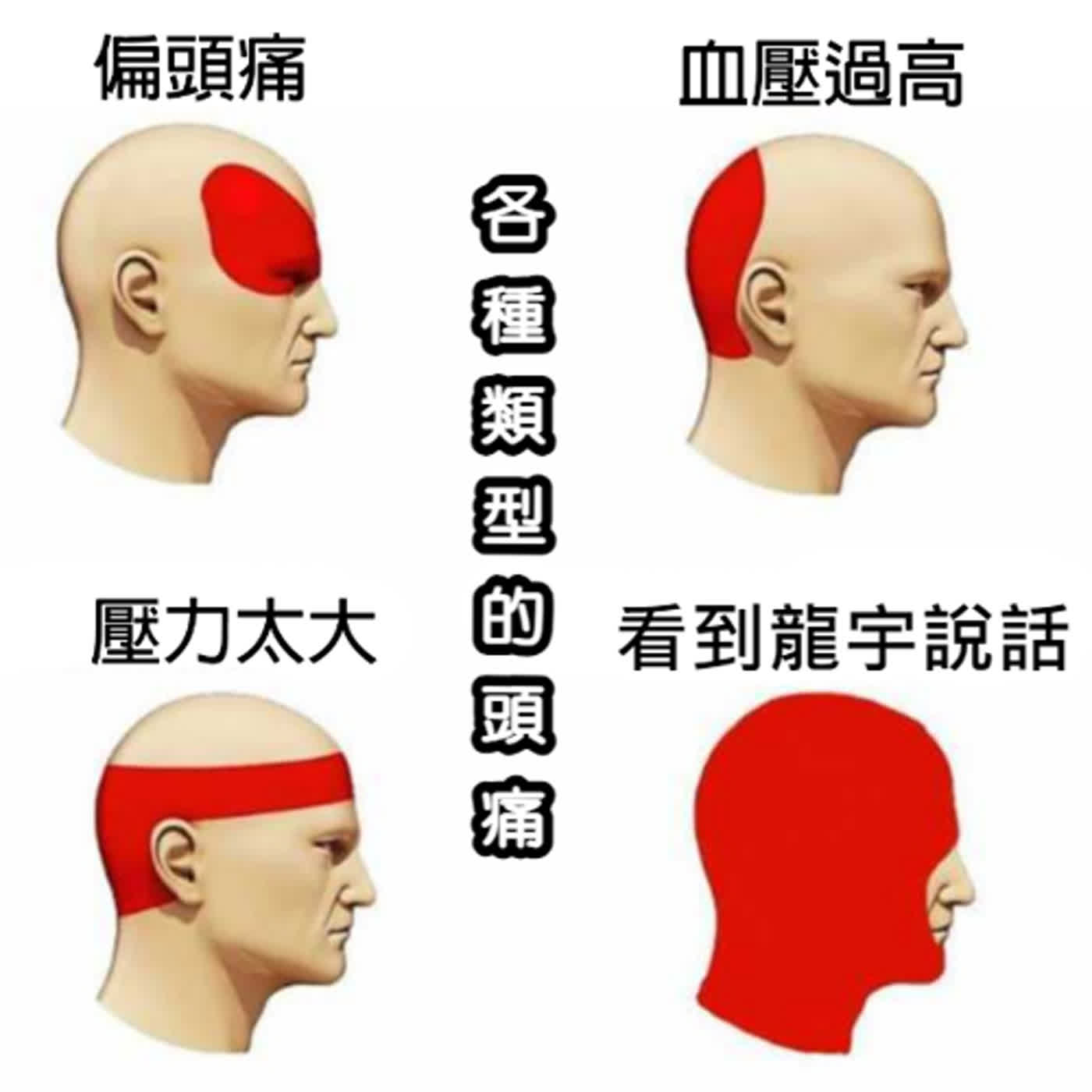 EP47 戀愛兄妹第15集~智媛宰亨沒望了嗎？心機boy龍宇利用世承打探消息有夠糟！世承正燮這次真的結束了嗎？