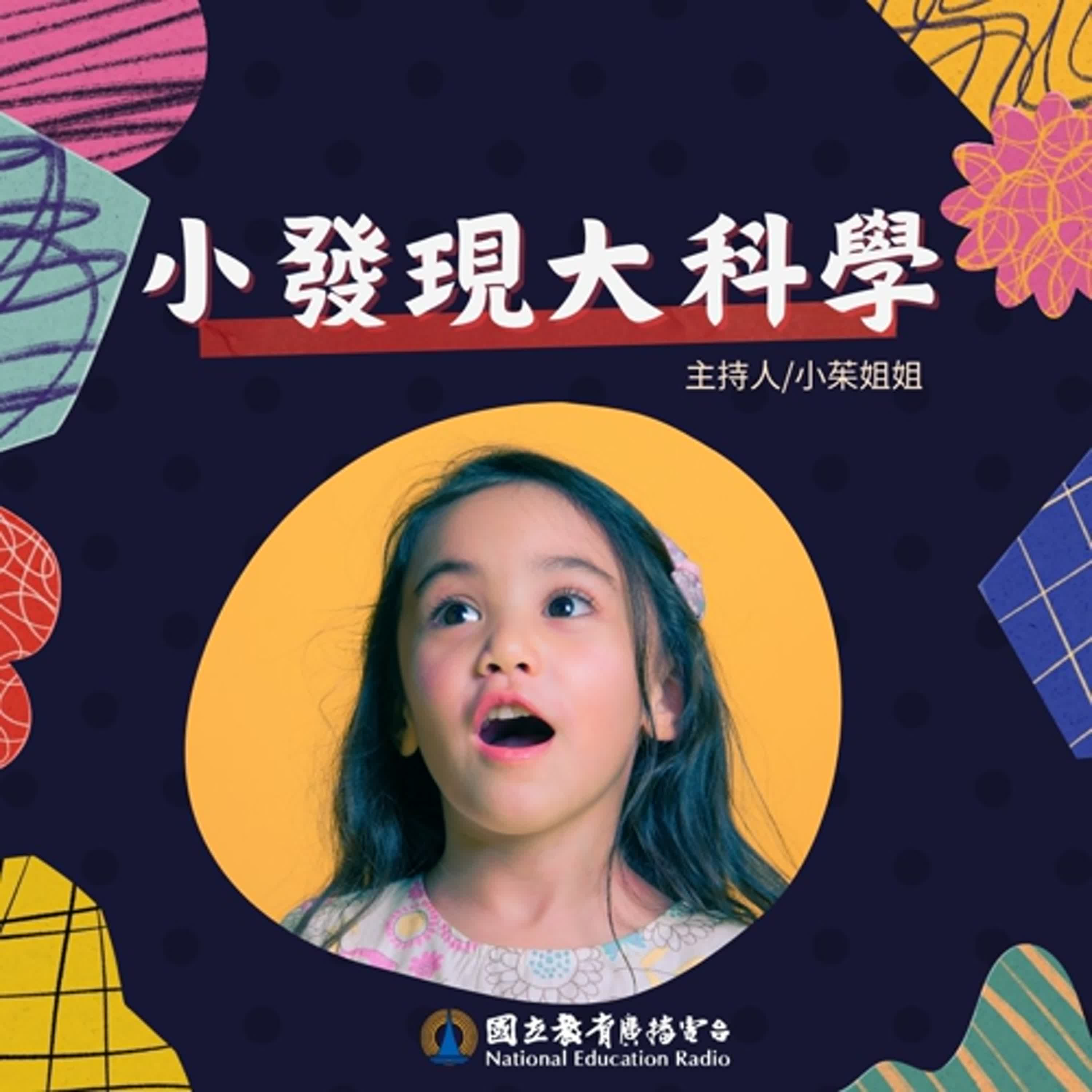兒童科普|小發現大科學11:蛙鞋的發明,跟那種動物的腳有關?