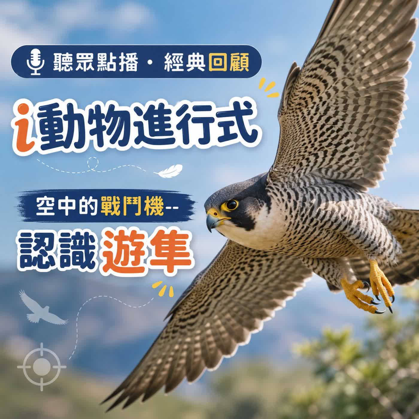 聽眾點播|i動物進行式|經典重播:空中的戰鬥機--認識遊隼 episode artwork