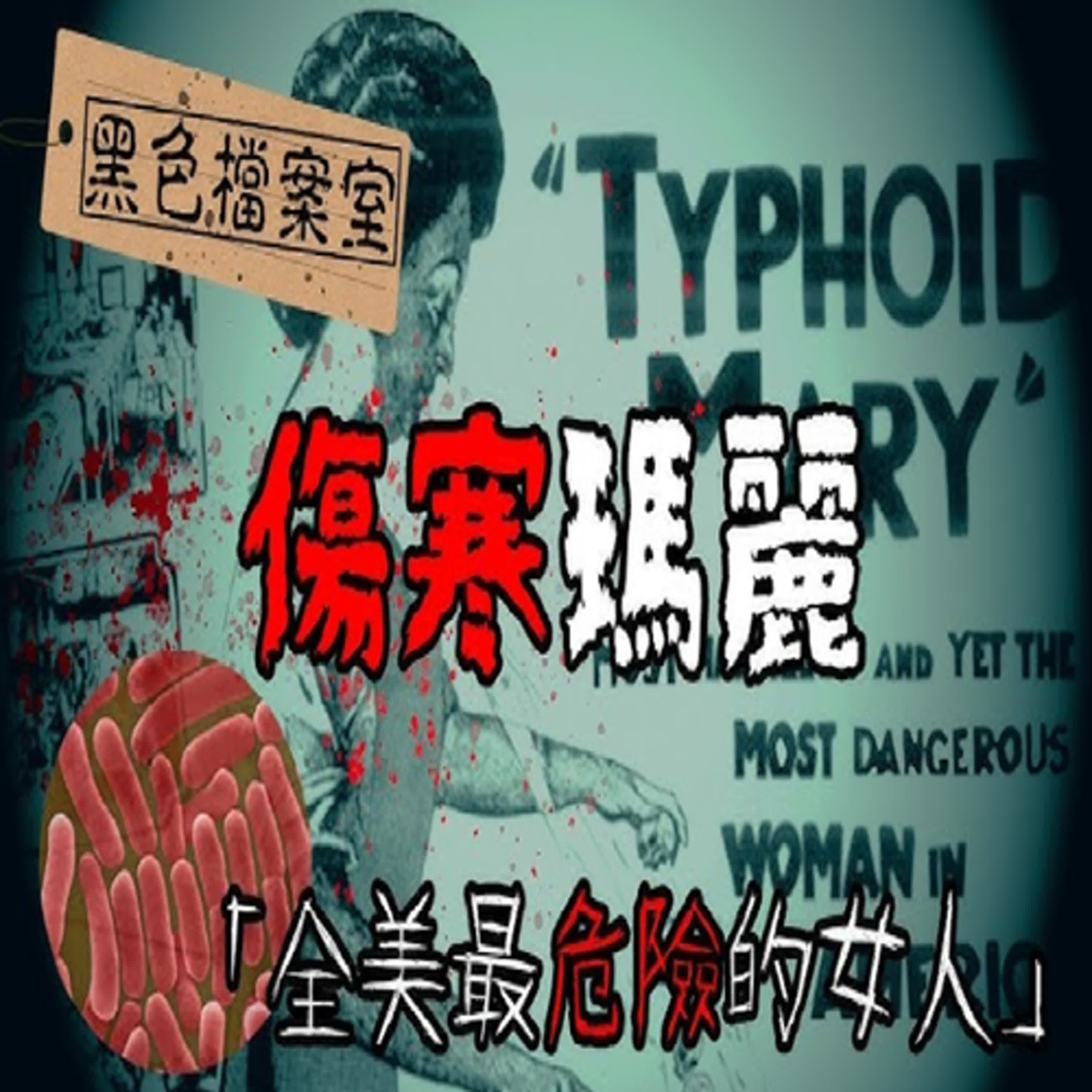 「全美最危險的女人！」她烹調致命佳餚讓多人染病...最終結局讓人不勝唏噓—傷寒健康帶原者瑪麗馬倫｜下水道先生 episode artwork