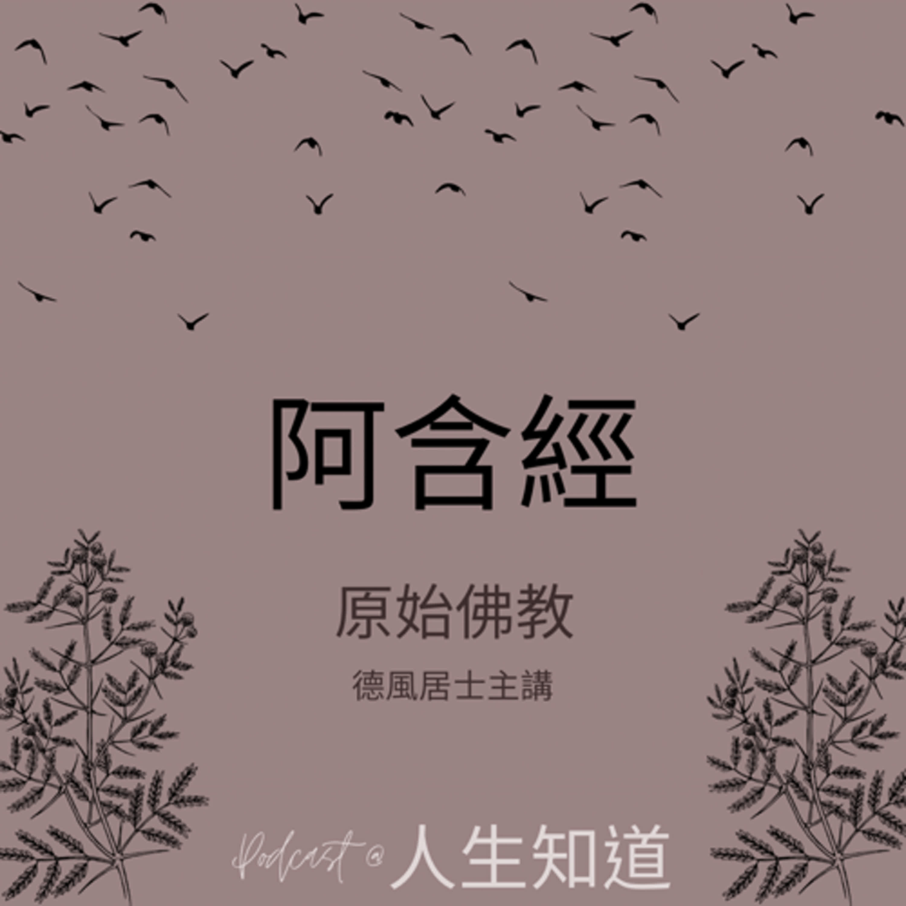 阿含經14