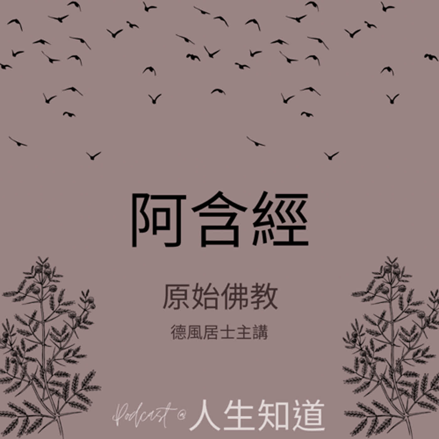 阿含經06