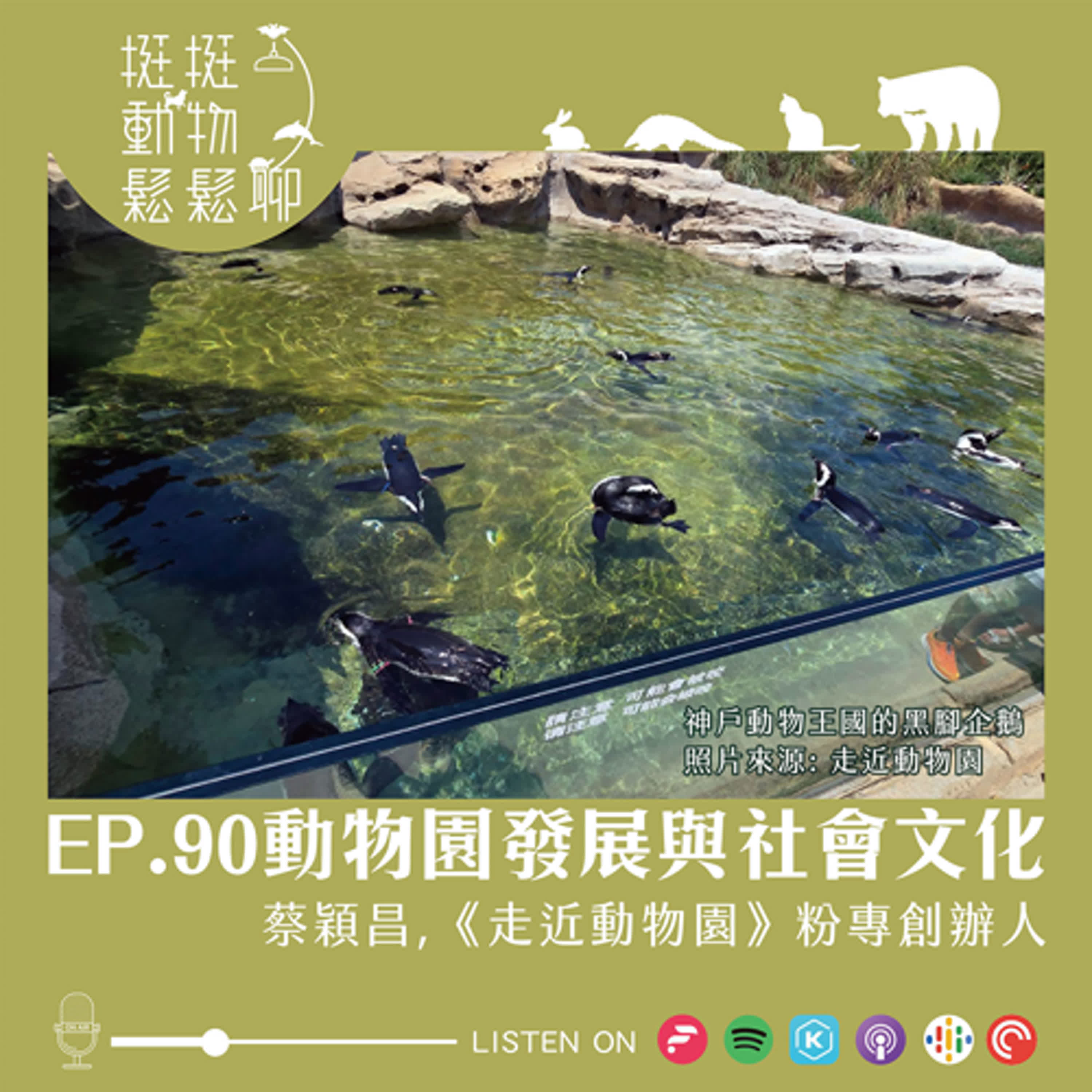 EP.90 動物園發展與社會文化 episode artwork