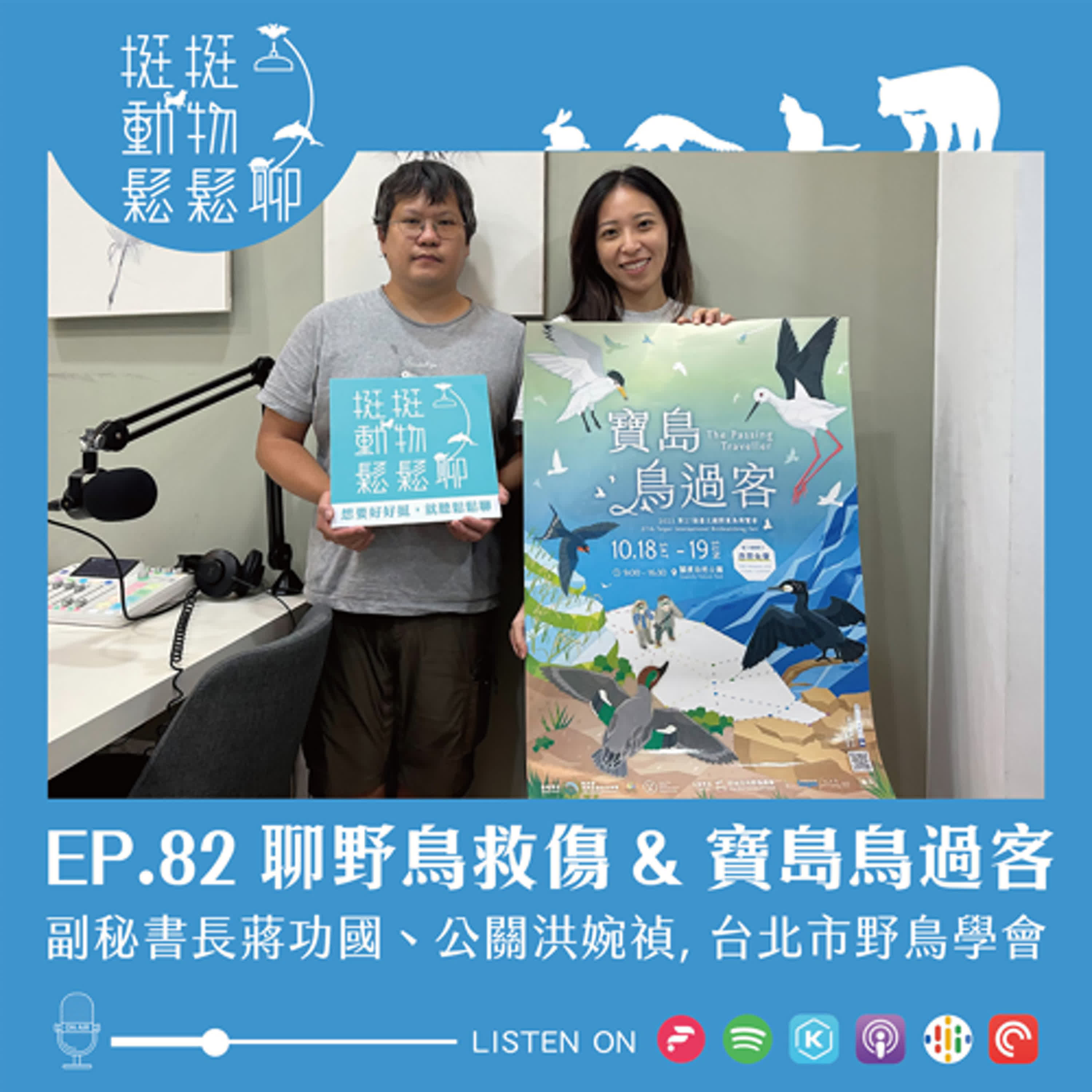 EP.82 聊野鳥救傷 & 寶島鳥過客 episode artwork
