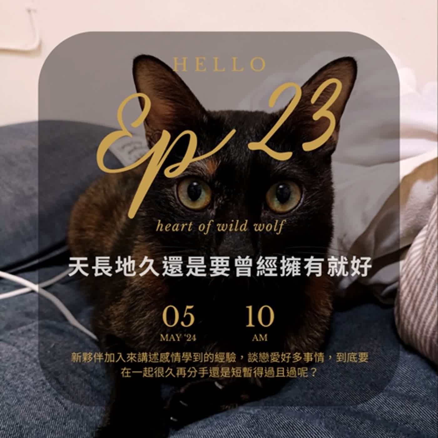 EP23 天長地久還是曾經擁有